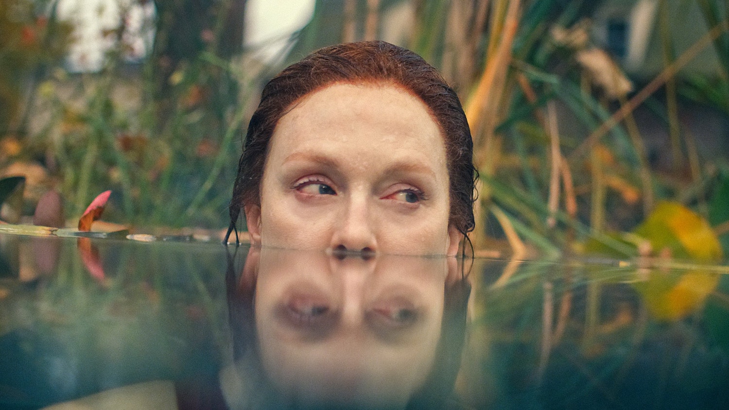 Let S Talk About Lisey S Story