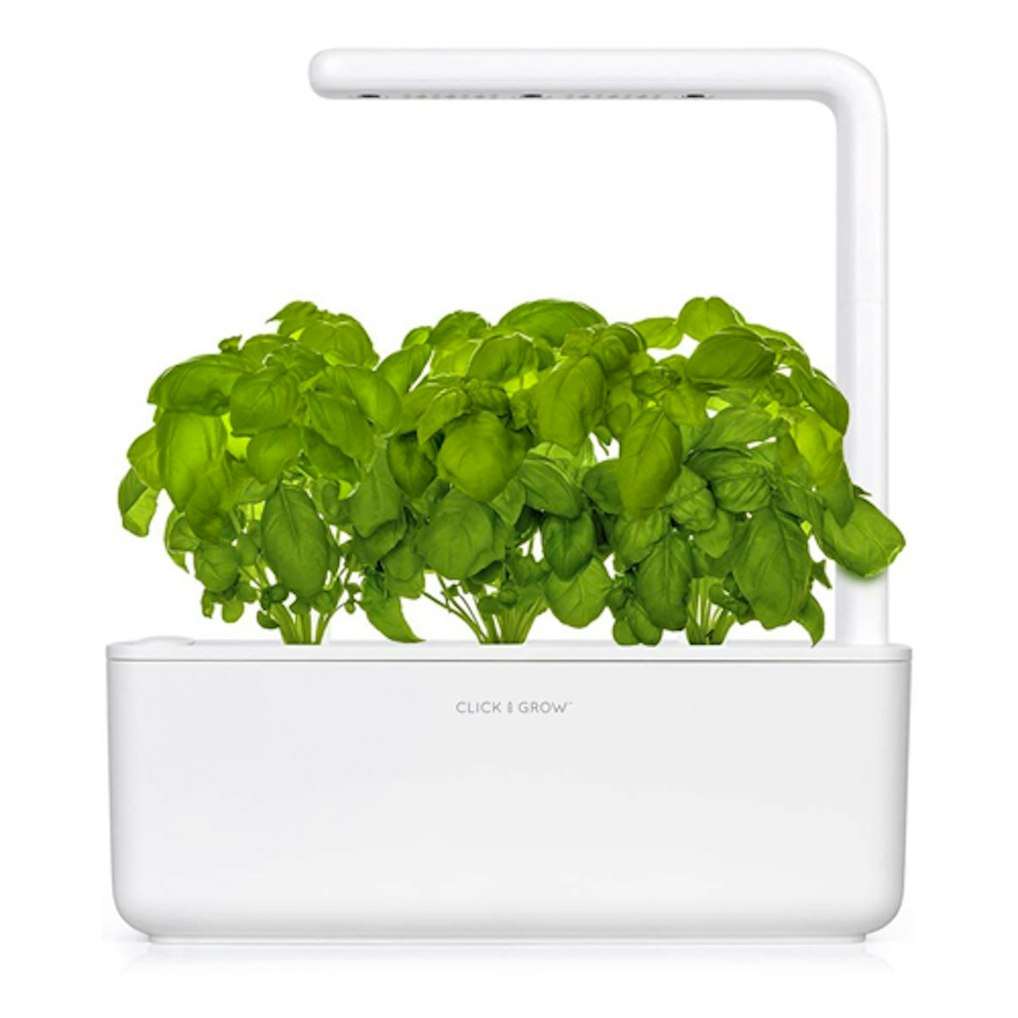 Herb garden