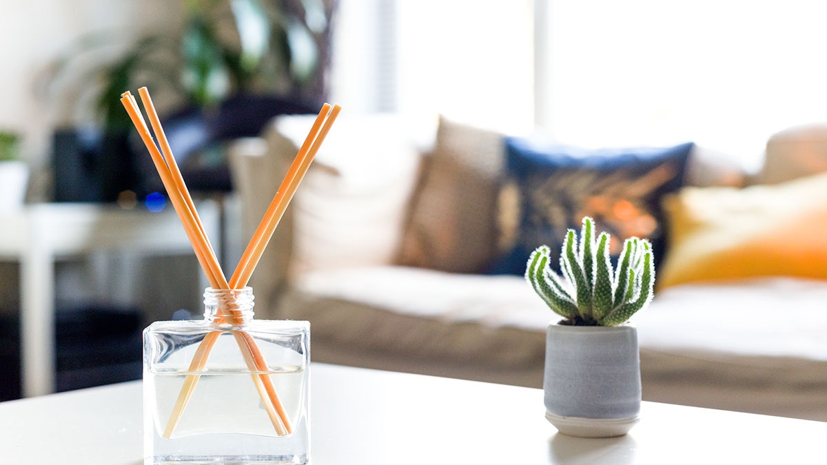 Best reed diffusers