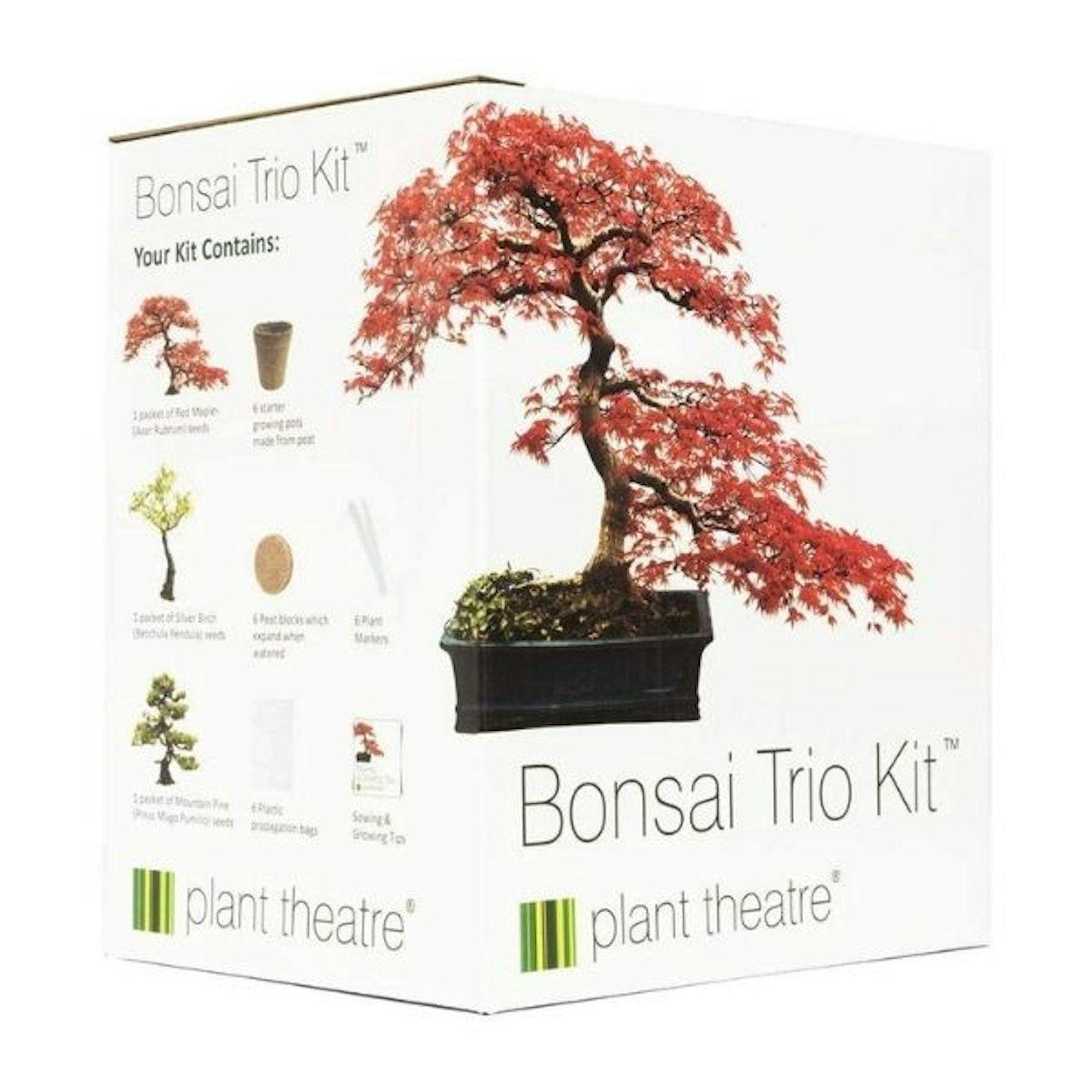 Plant Theatre Bonsai Kit Trio