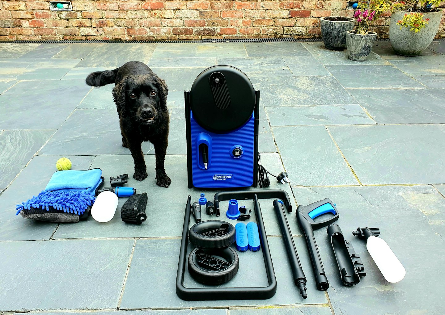 Nilfisk pressure washer before assembly with dog helper