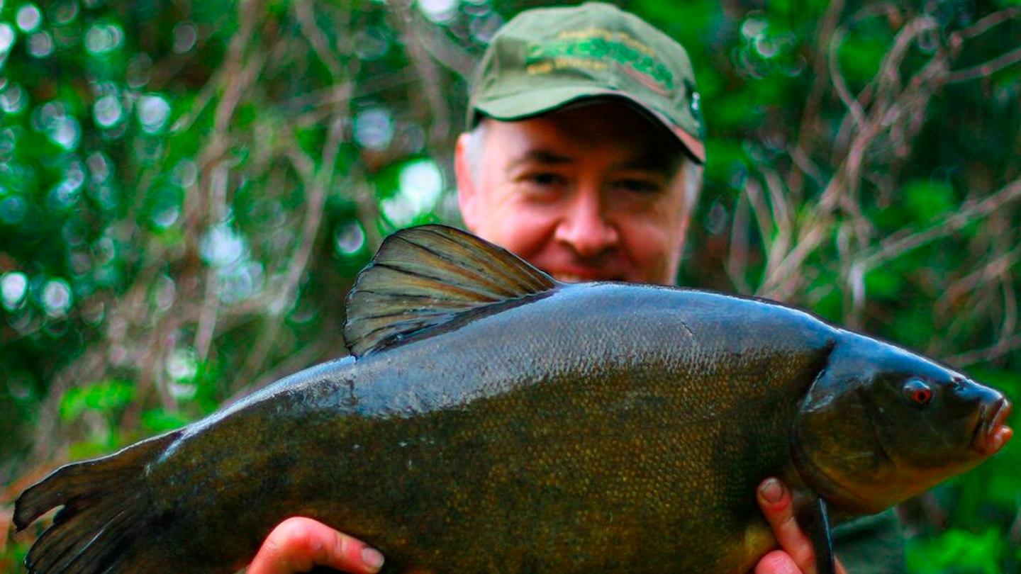Kebab Rig Five tench hit topped by 10lb 4oz stunner | Angling Times