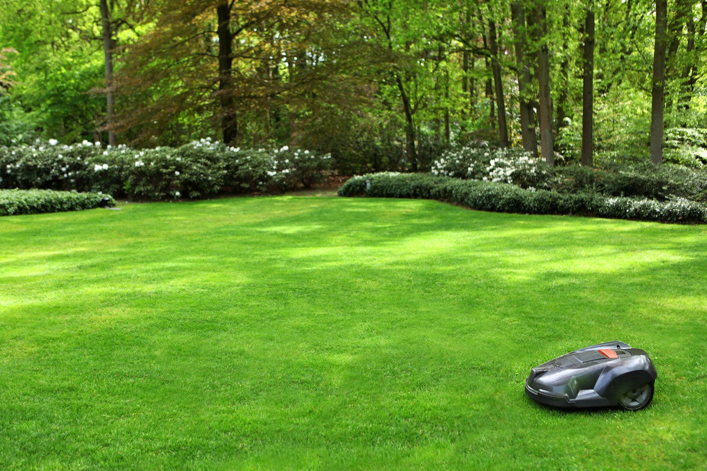 a robot lawnmower cutting grass