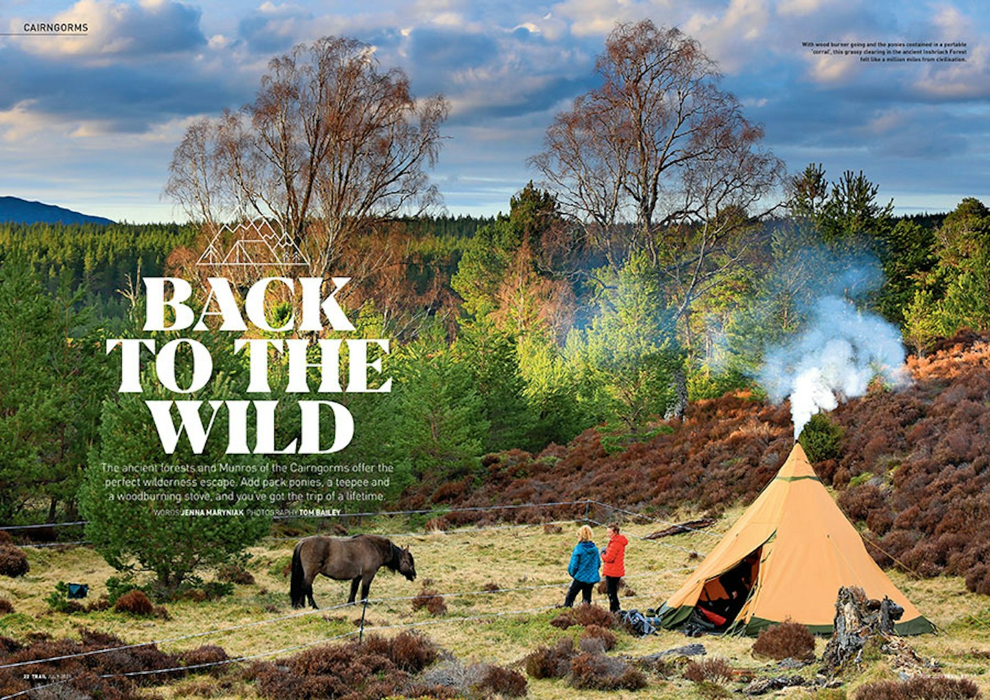 Back to the wild