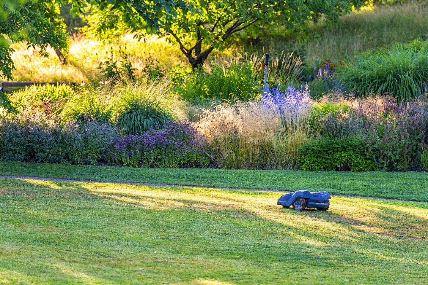 robot lawn mower cutting grass