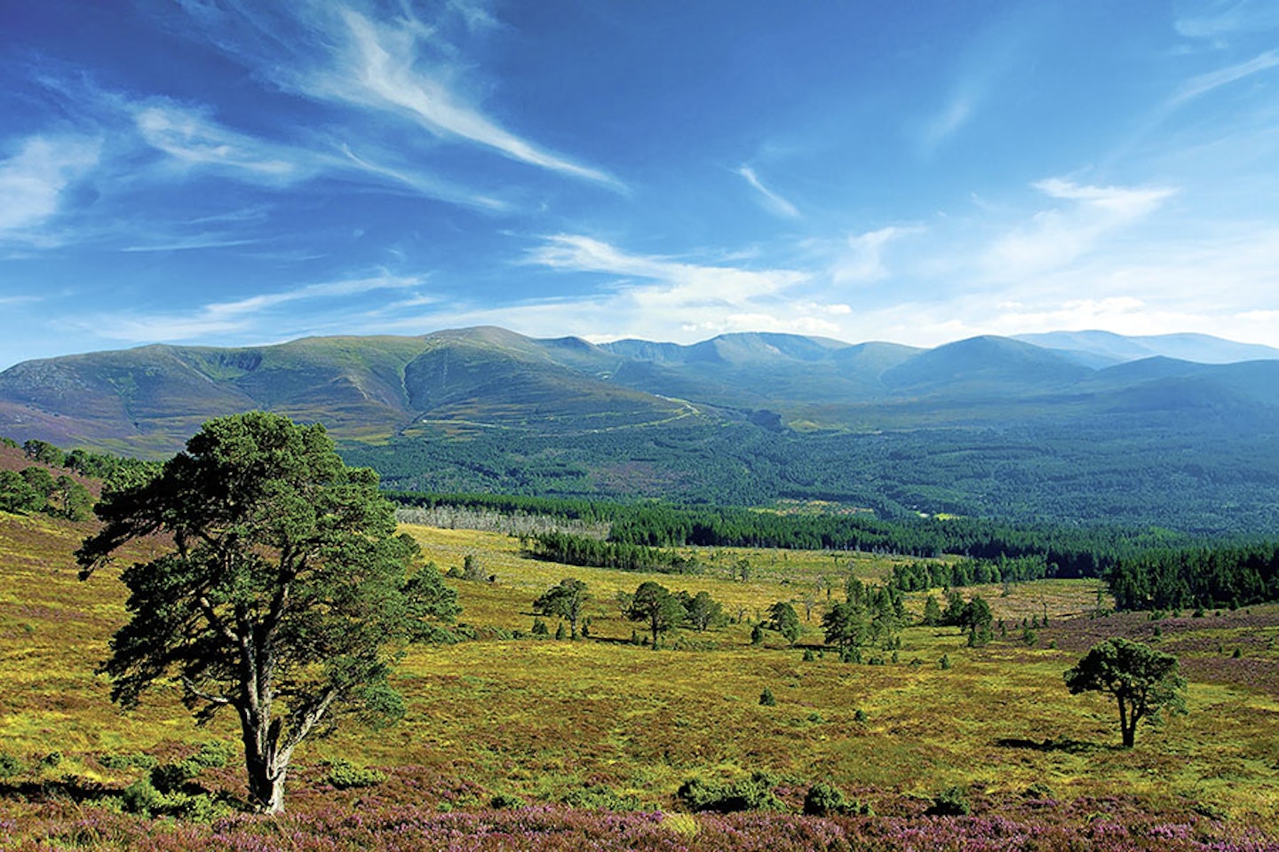 Route 4: The Kincardineshire Three, Cairngorms