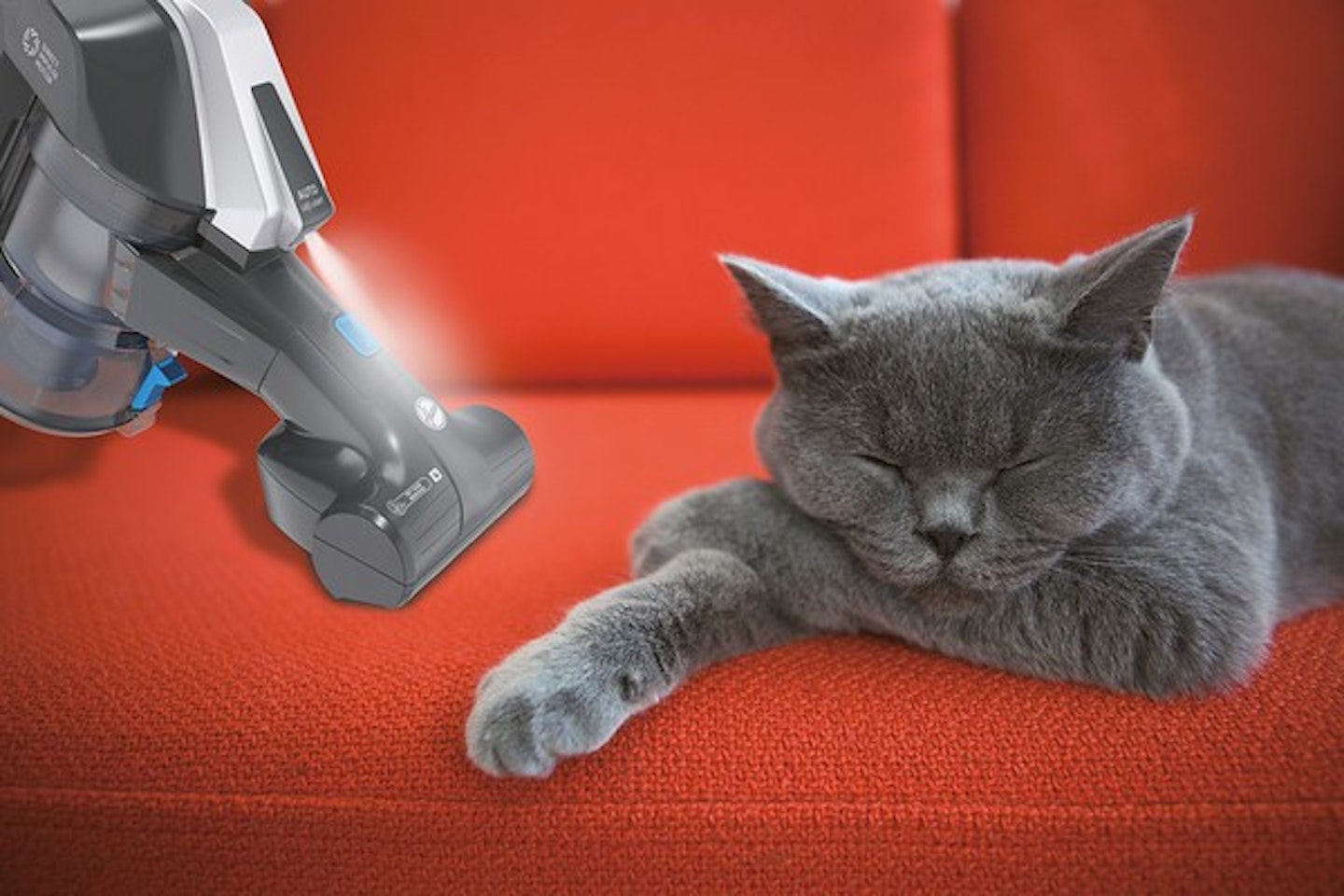 pet hair