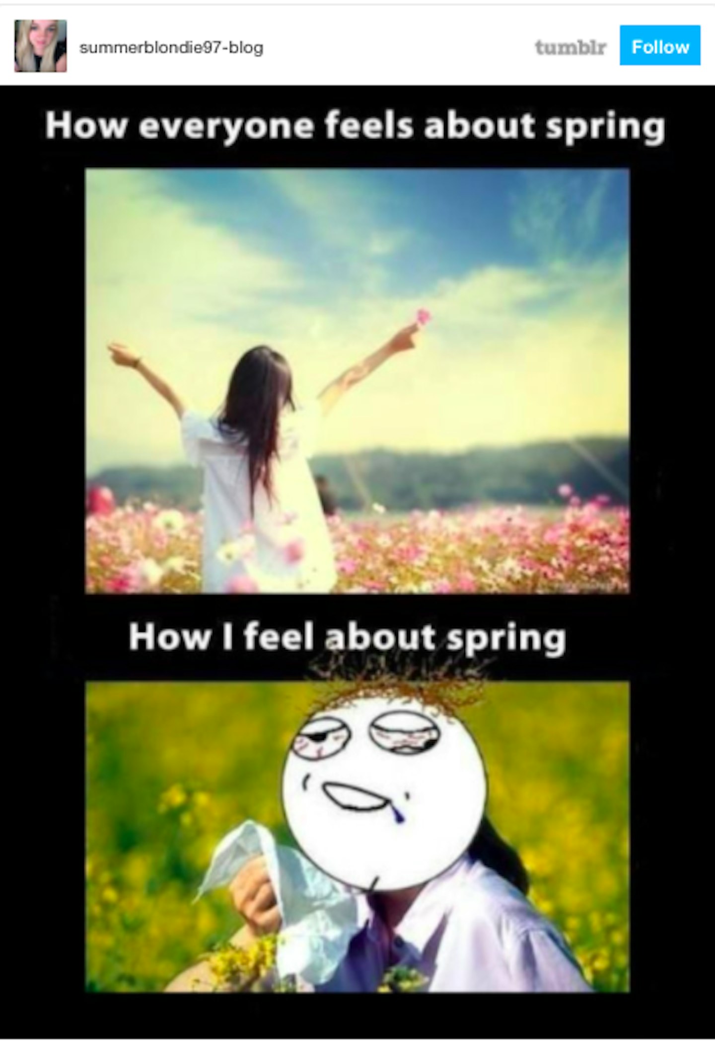 The Best Hay Fever Memes - Grazia