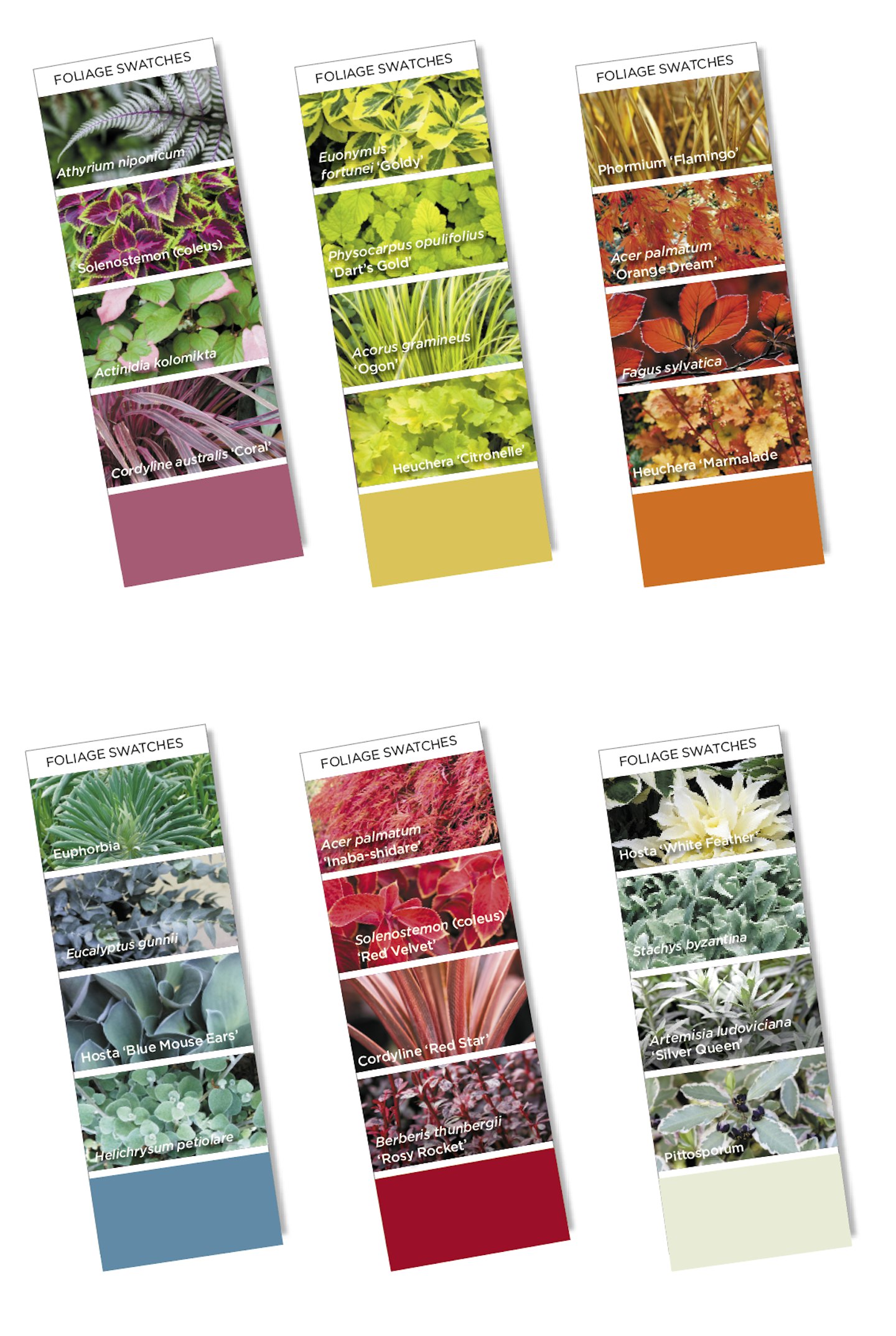 Foliage swatches by colour