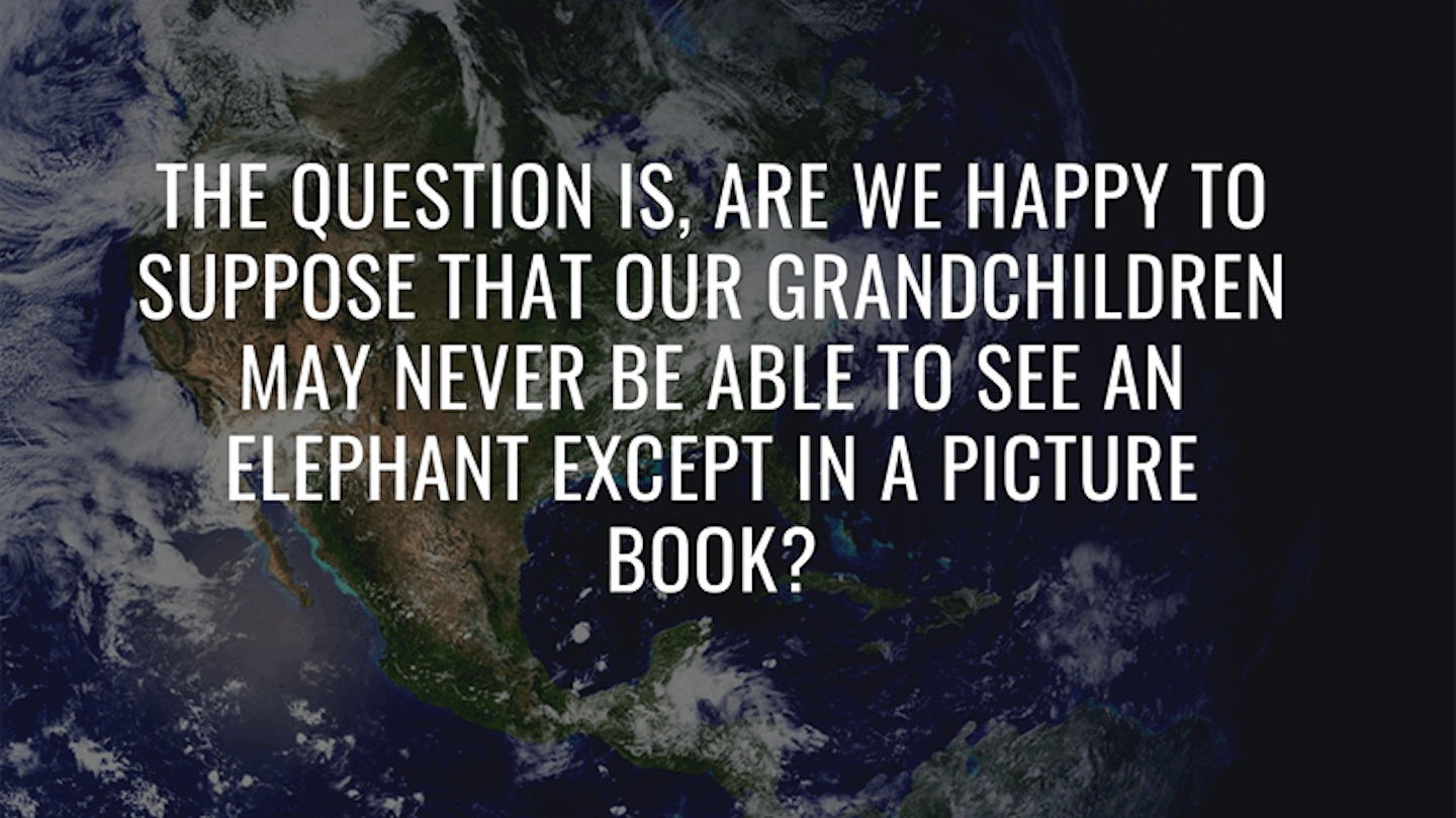 4.	"The question is, are we happy to suppose that our grandchildren may never be able to see an elephant except in a picture book?