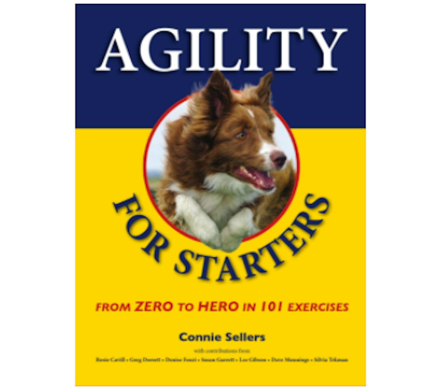 dog agility book agility for starters