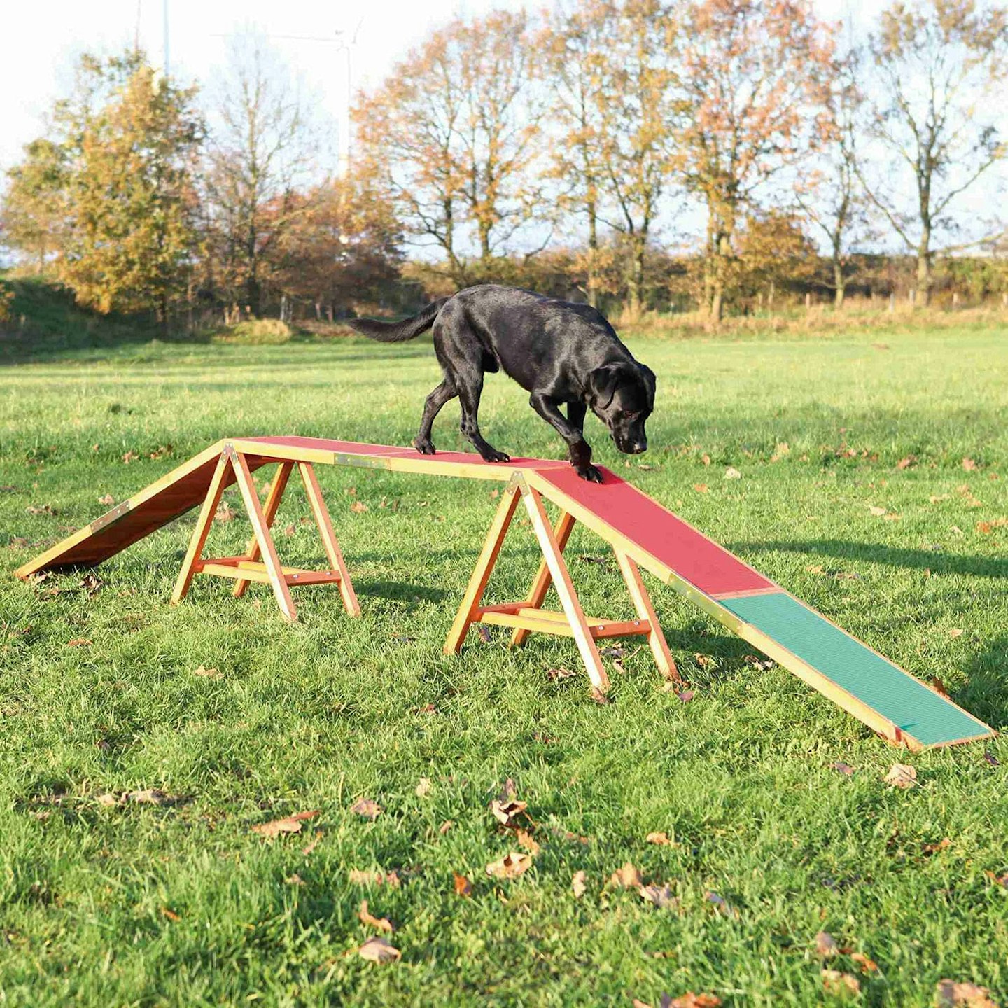 trixie agility dogwalk
