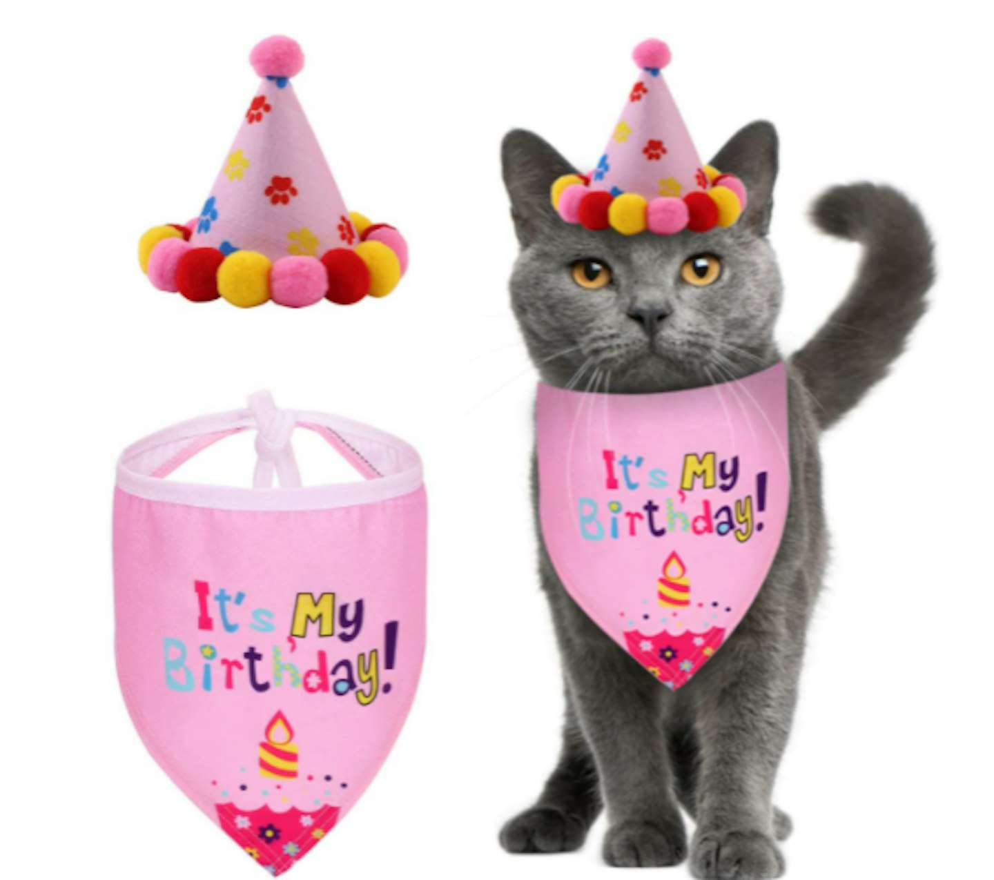 petyoung cat bandana and party hat