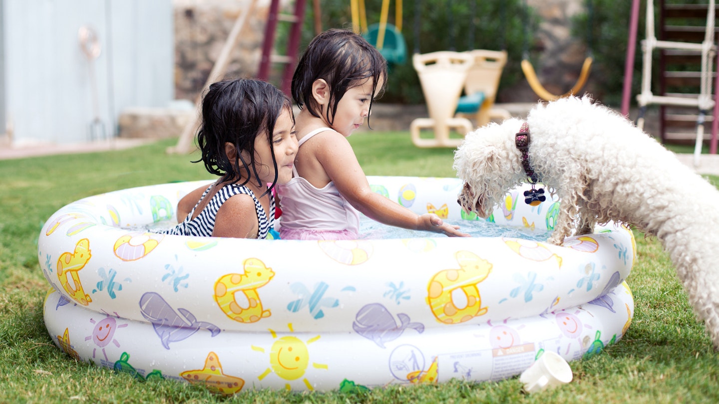 Kids in paddling pool with dog