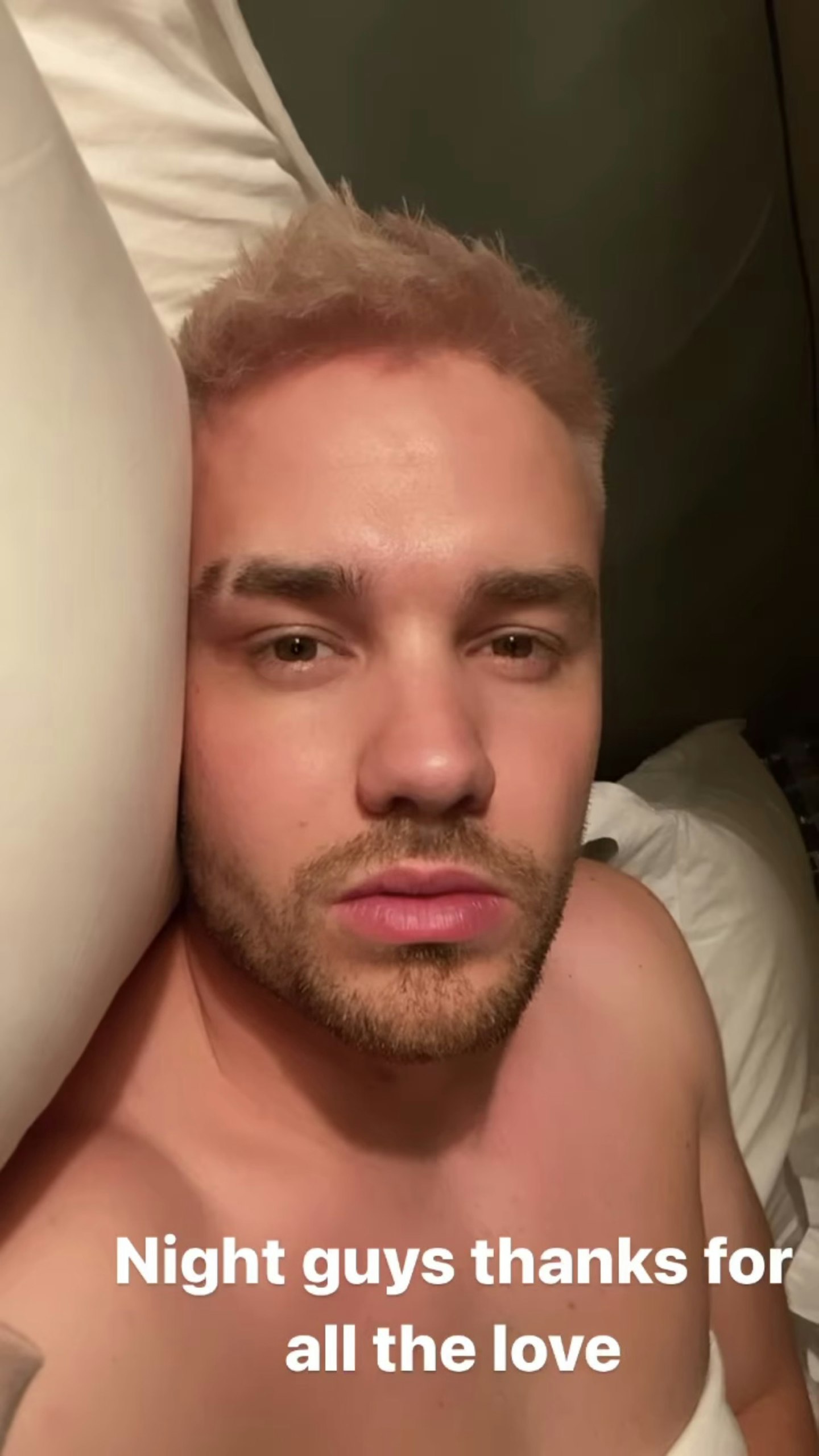 Liam Payne blonde hair eyebrow slit