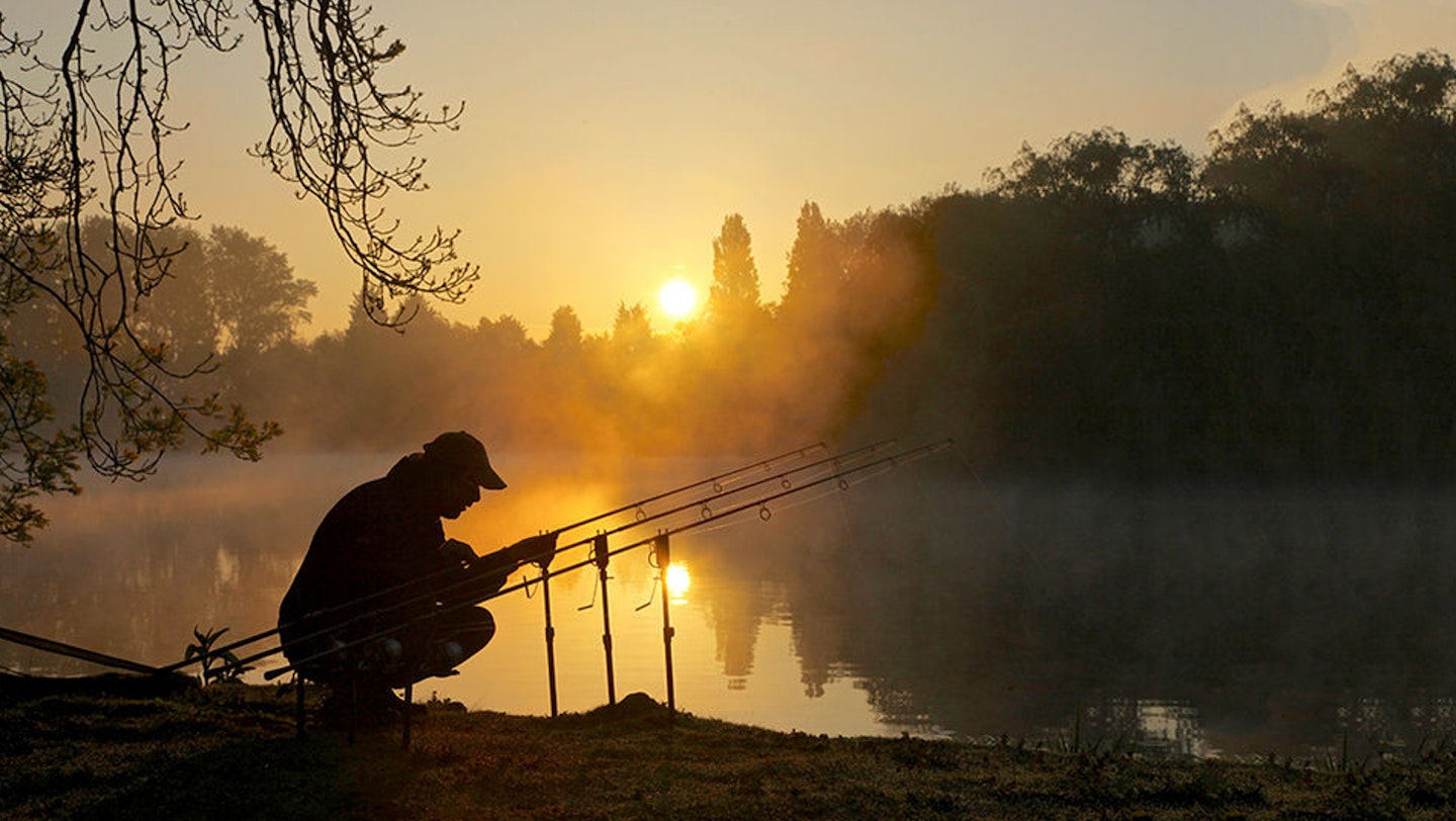 Is it true that they feed best at dawn?