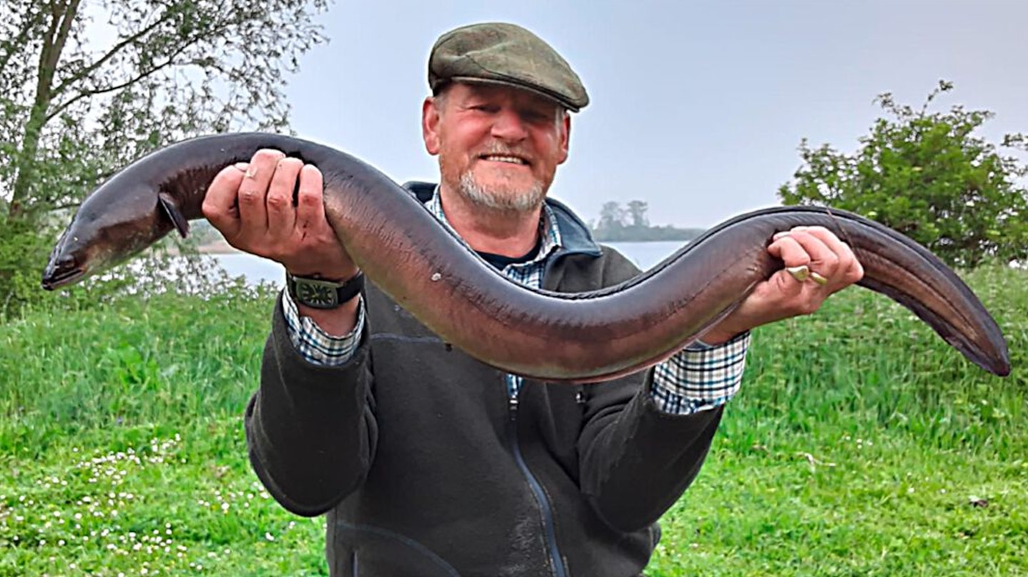 Steve Pitts – 7lb 4oz eel