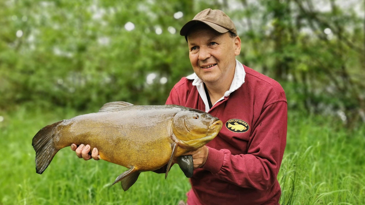 One of the huge tench landed in a Tenchfishers event (11lb 4oz)