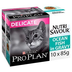 best cat food for delicate stomach