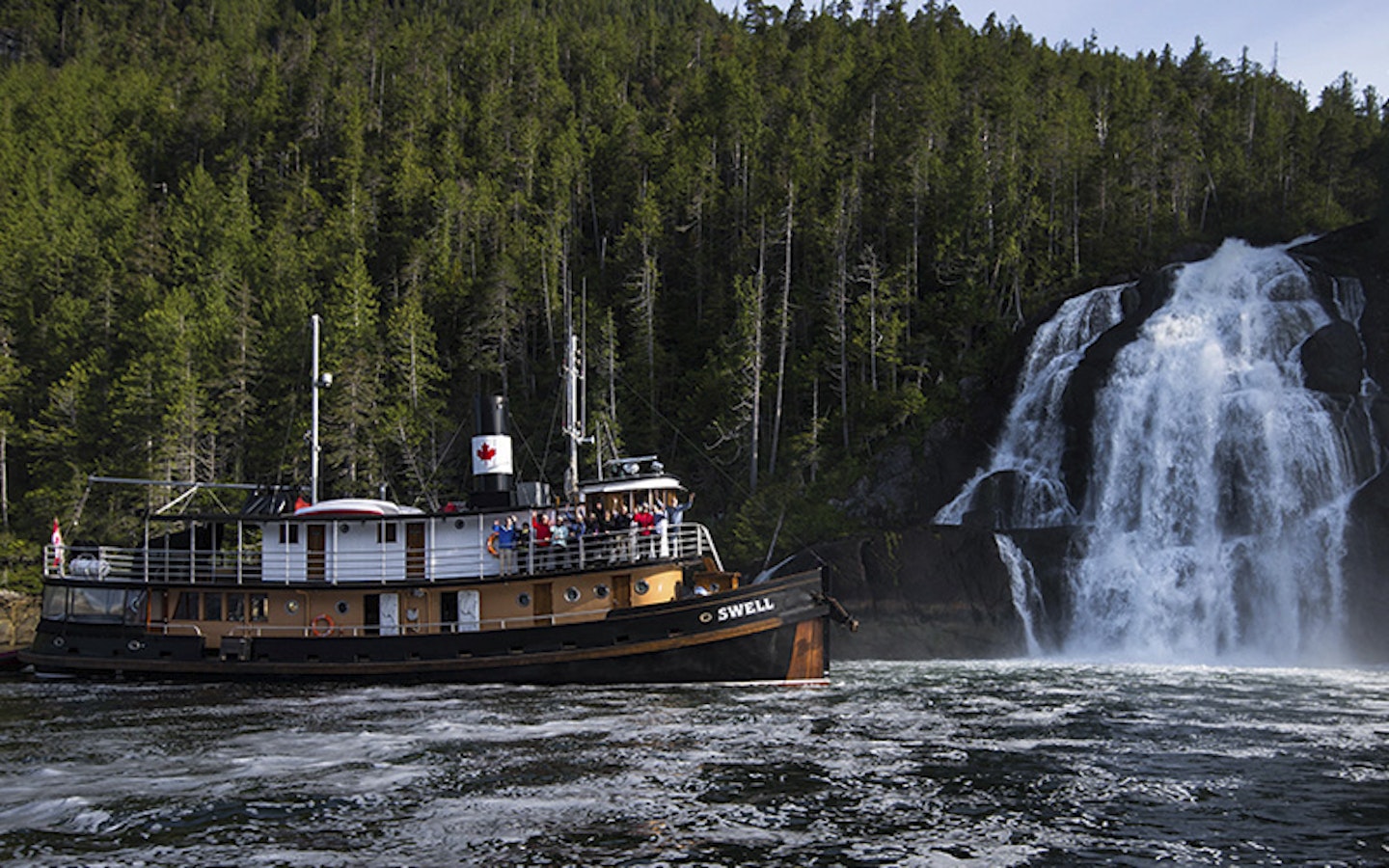 Great Bear Rainforest Cruise in British Columbia 