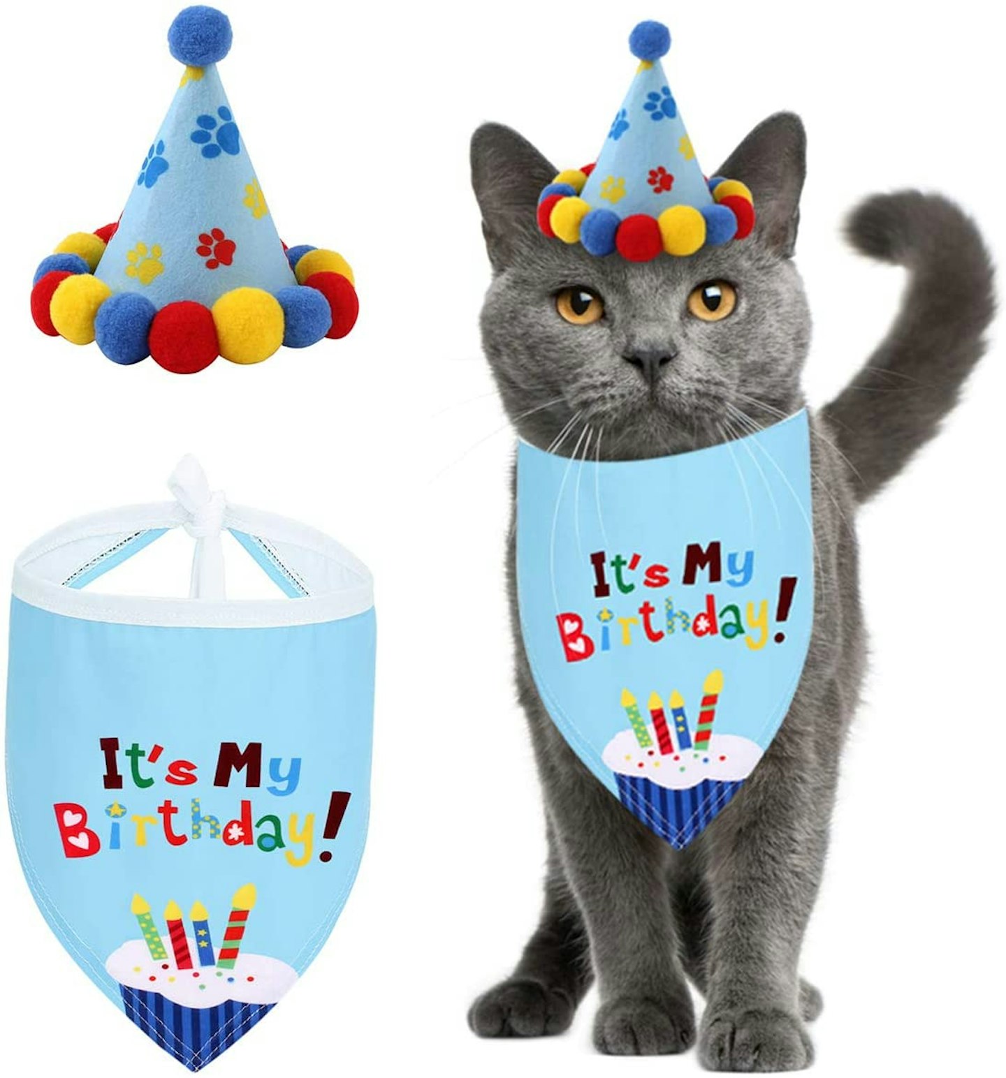 Petyoung Pet Birthday hat and bandana