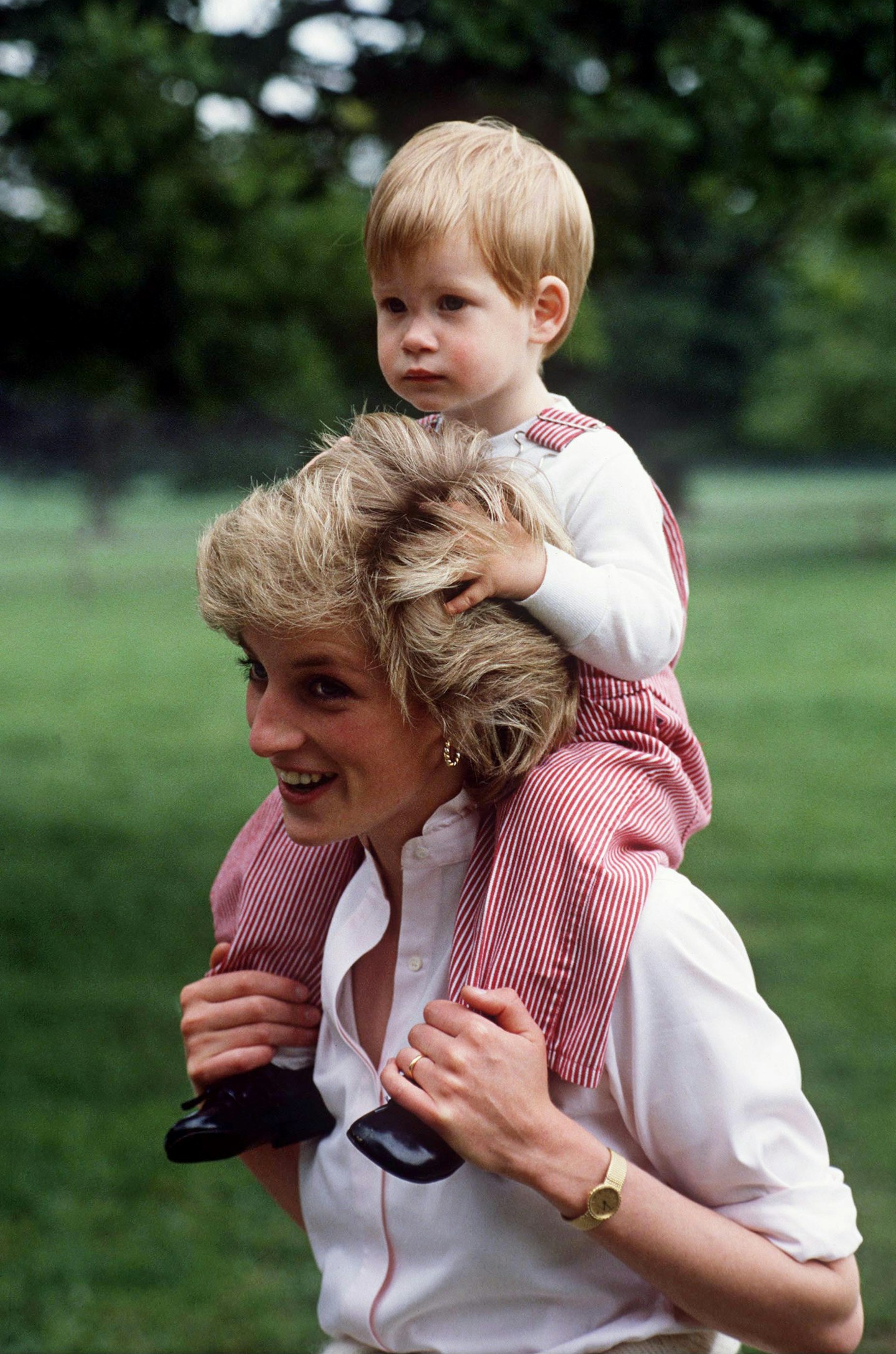 Diana Harry