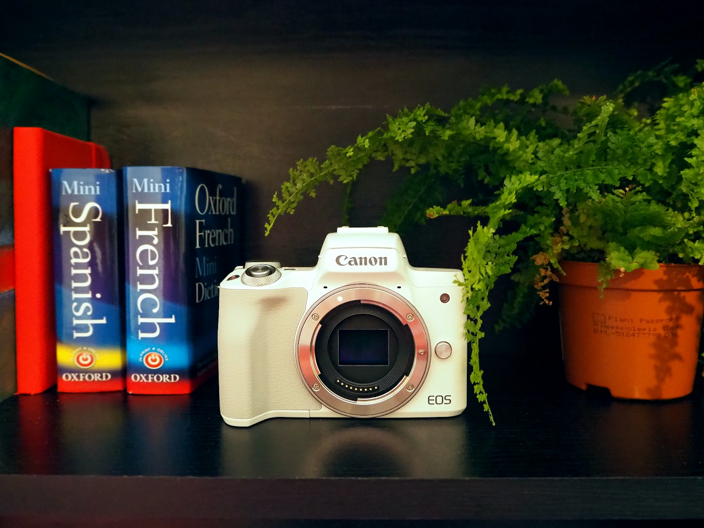 Canon EOS M50 MkII review