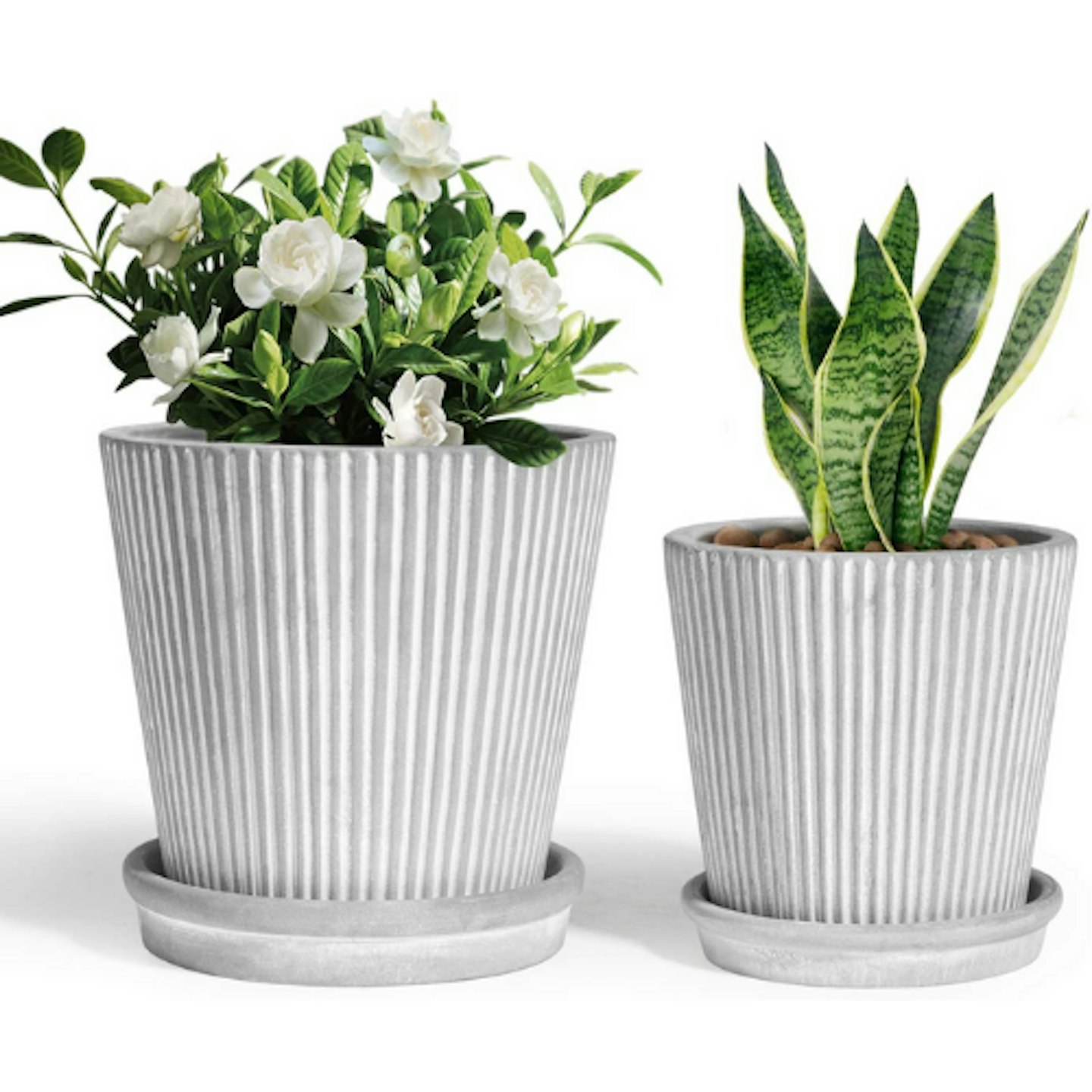 T4U Cement Plant Planter Pot with Saucer (Pack of 2)