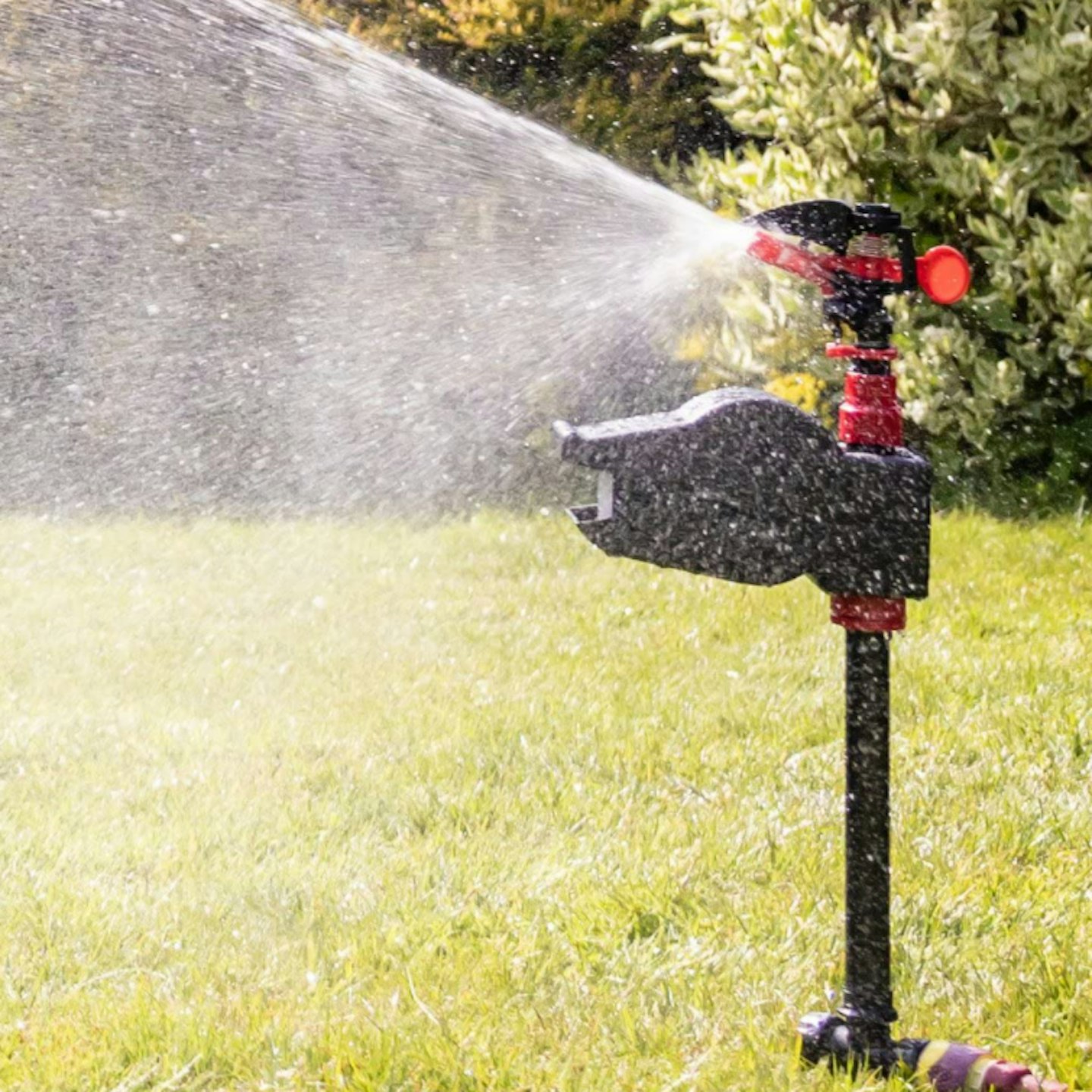 PestByeu00ae Jet Spray Battery Operated Motion Activated Cat Scarer & Repellent