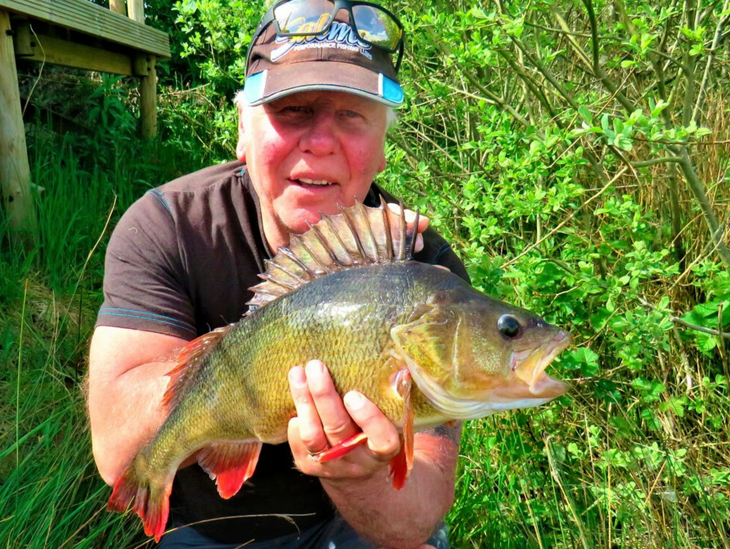 Trevor Gunning – 4lb 10oz perch