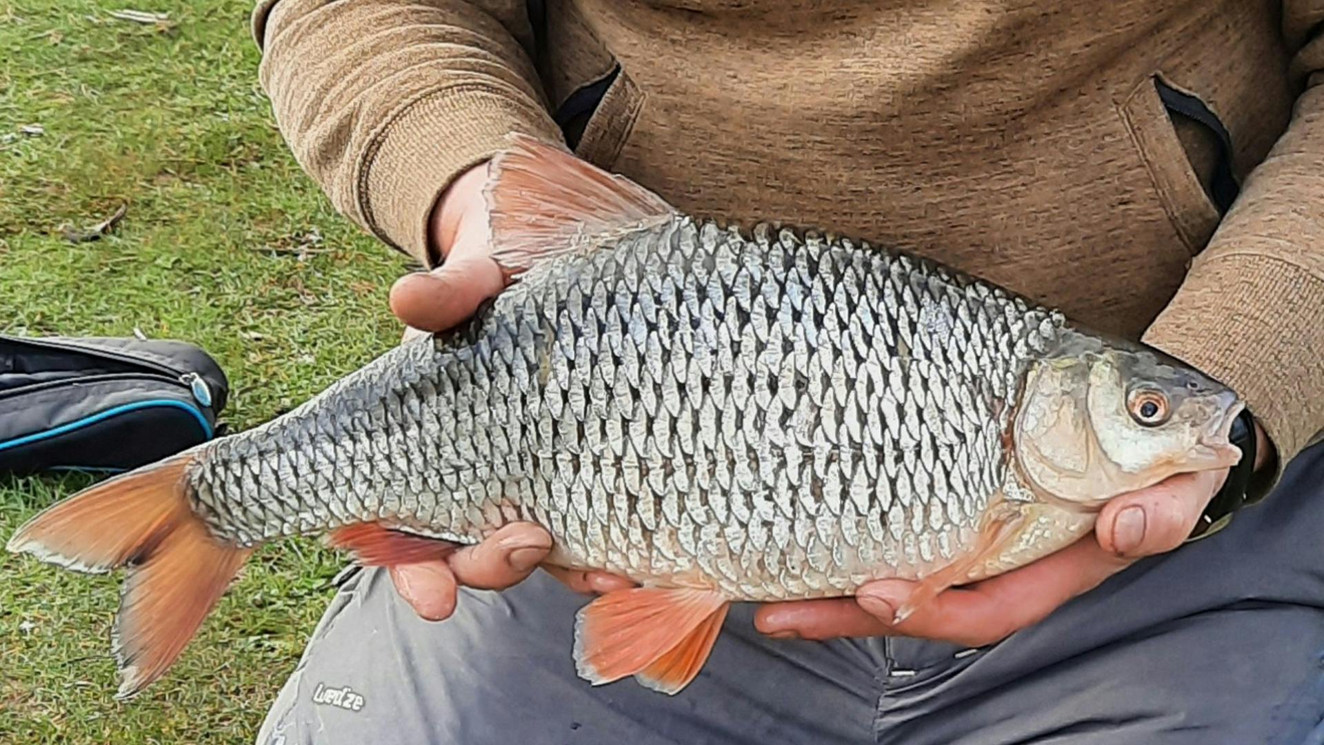 “Fish of a lifetime” ends blank spell | Angling Times