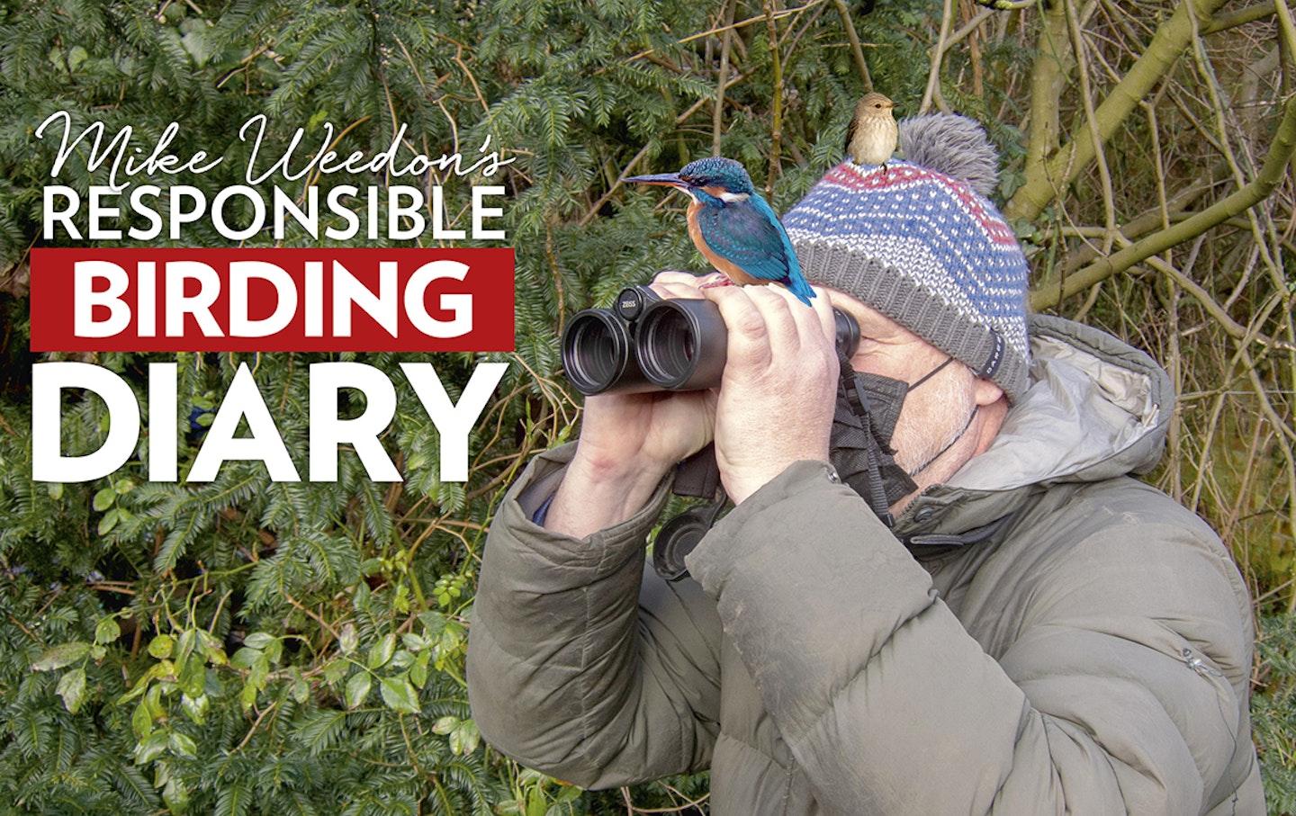 Mike Weedon's new responsible birding diary, Features