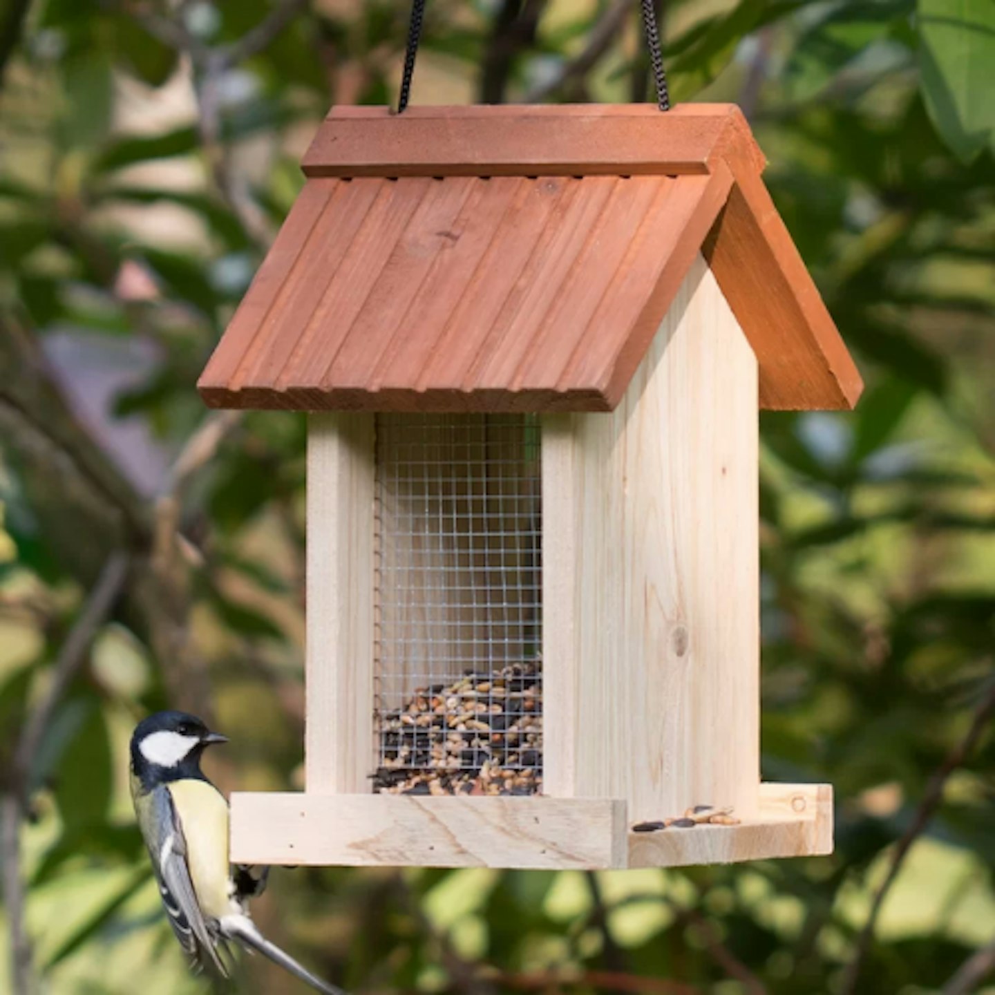 Griswold Hopper Bird Feeder