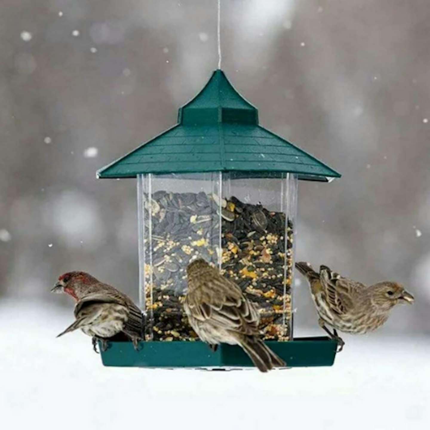 OurLeeme Bird Feeder