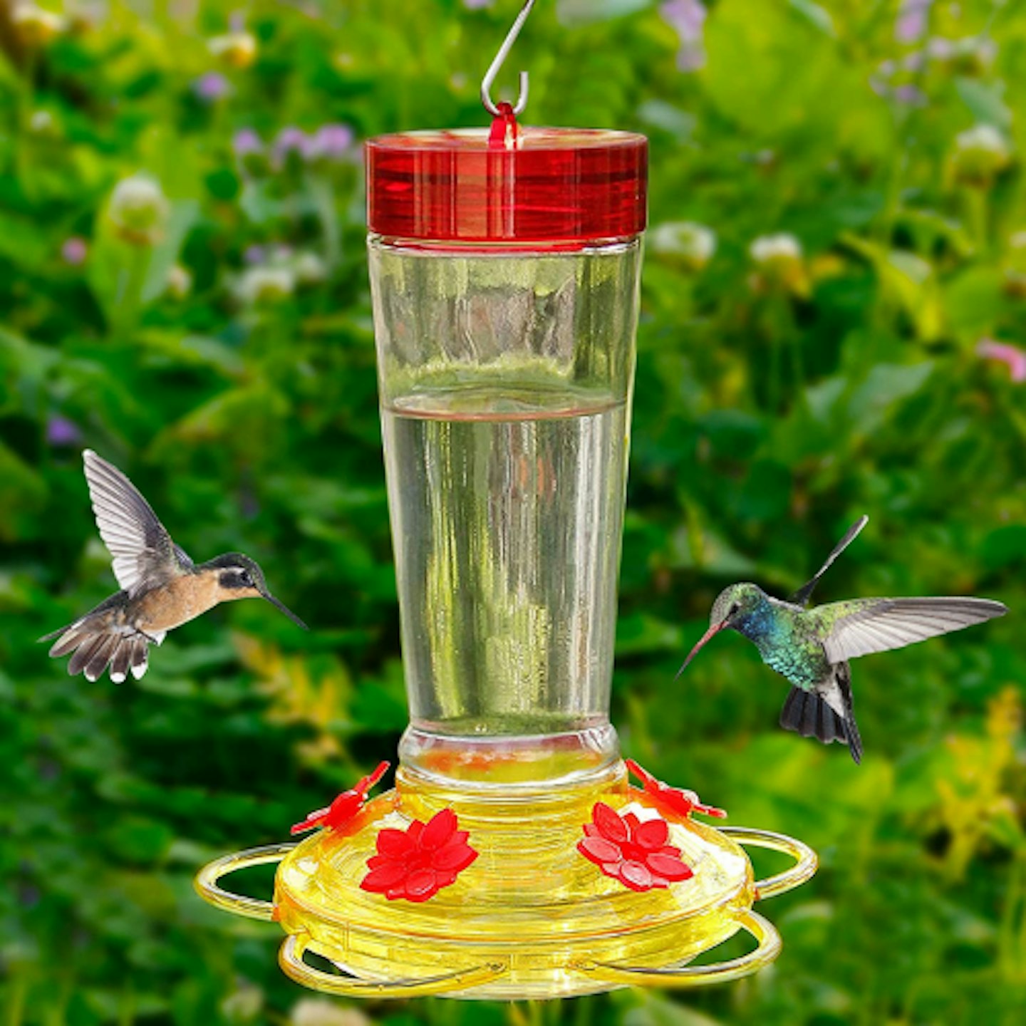 Joliyoou Hummingbird Feeder