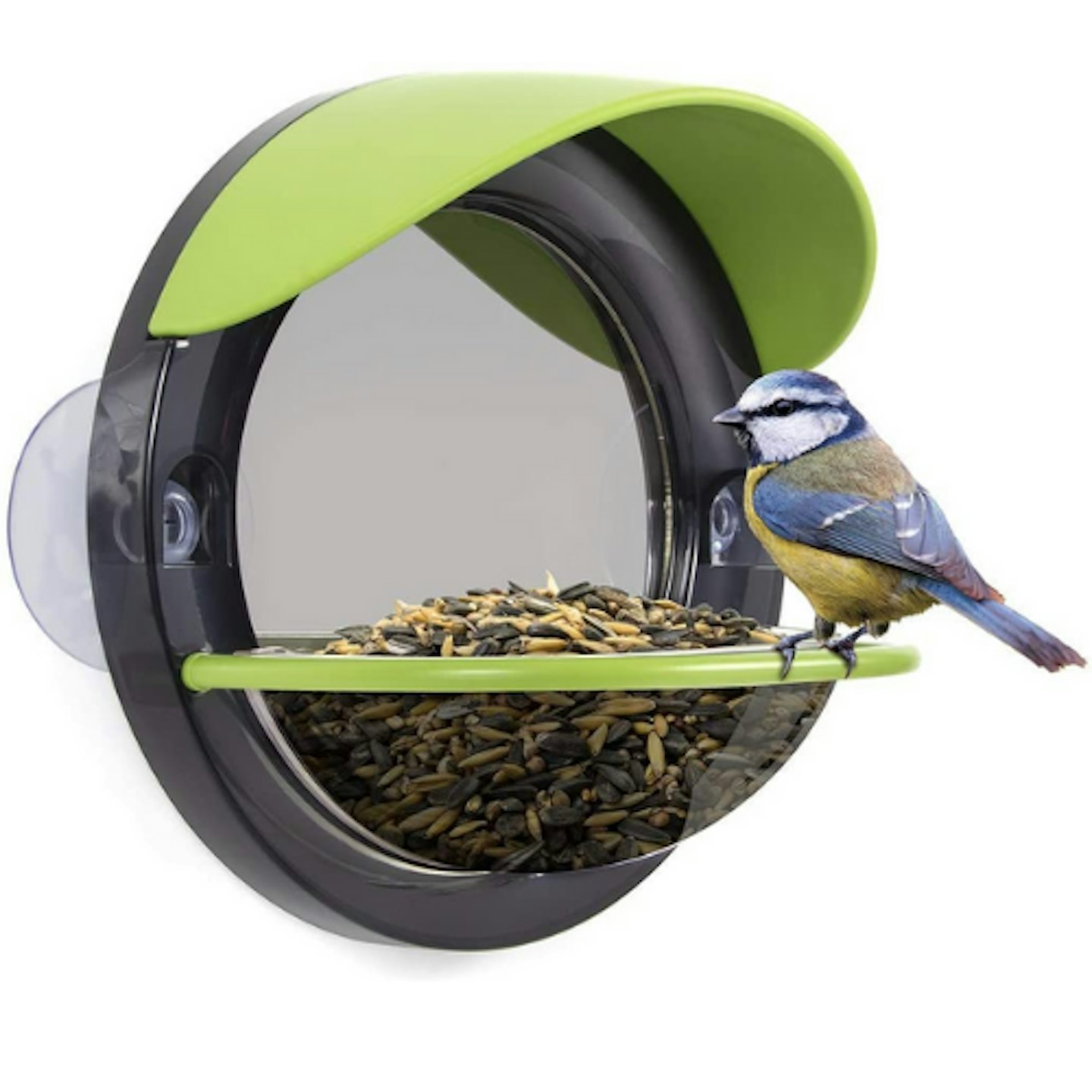 My Living World Window Bird Feeder