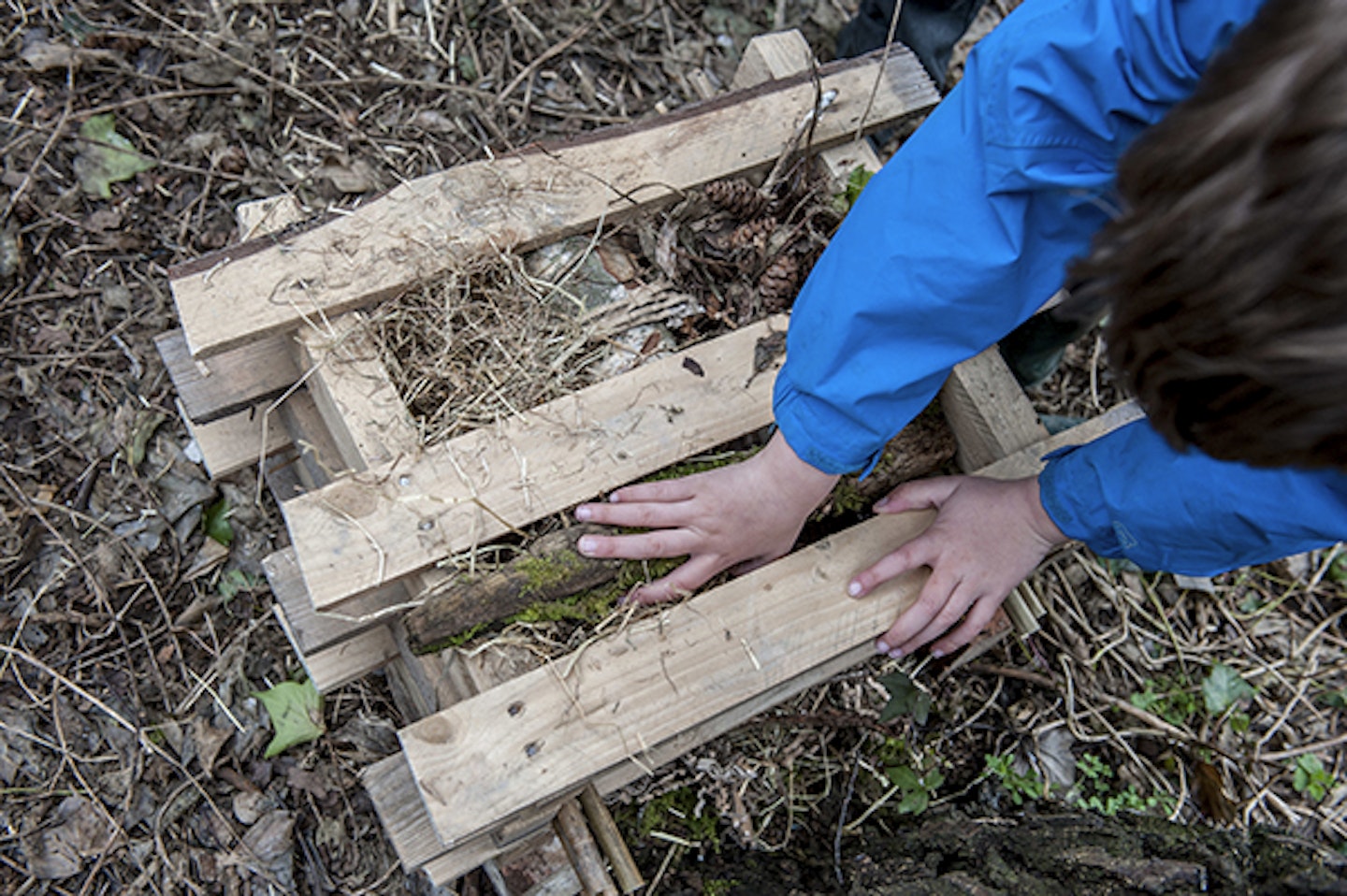 RSPB how to build a bug hotel