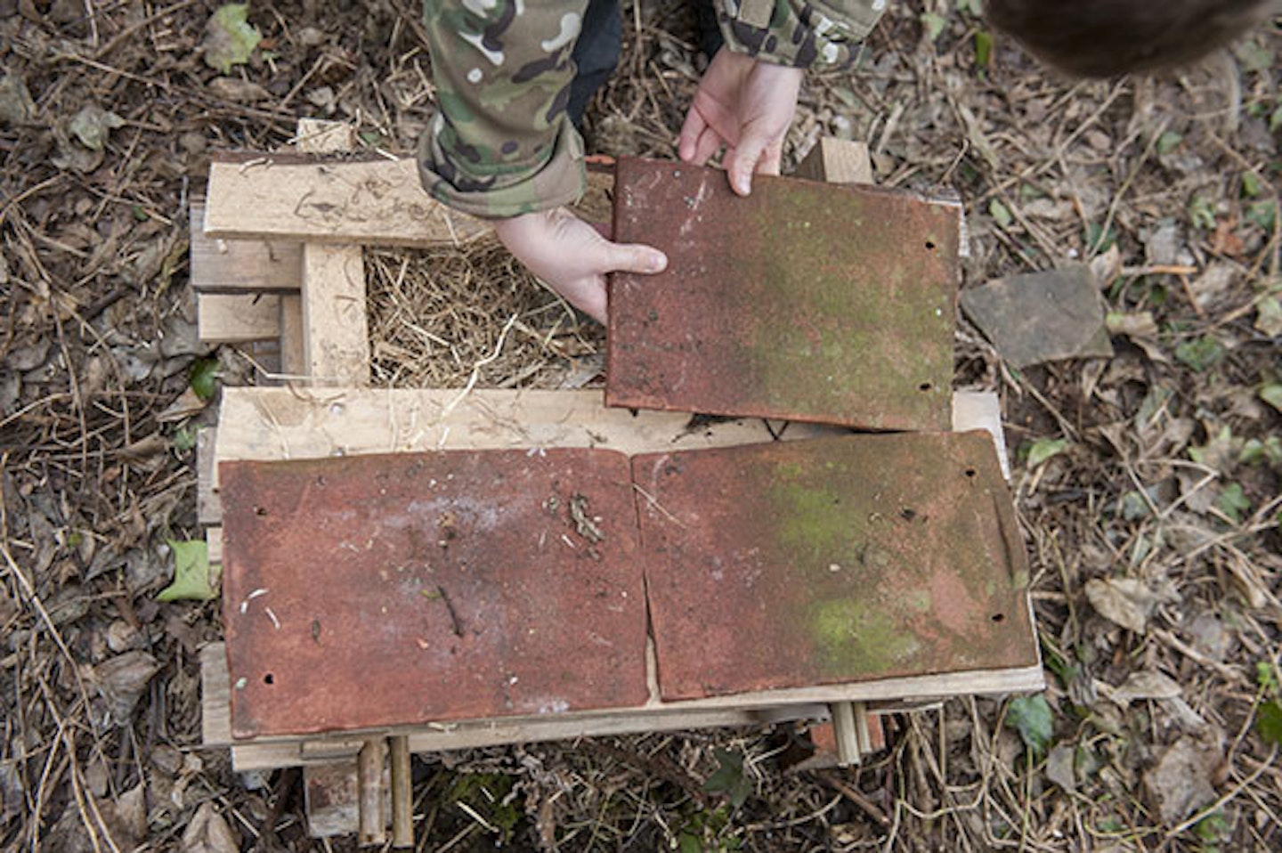 RSPB how to build a bug hotel