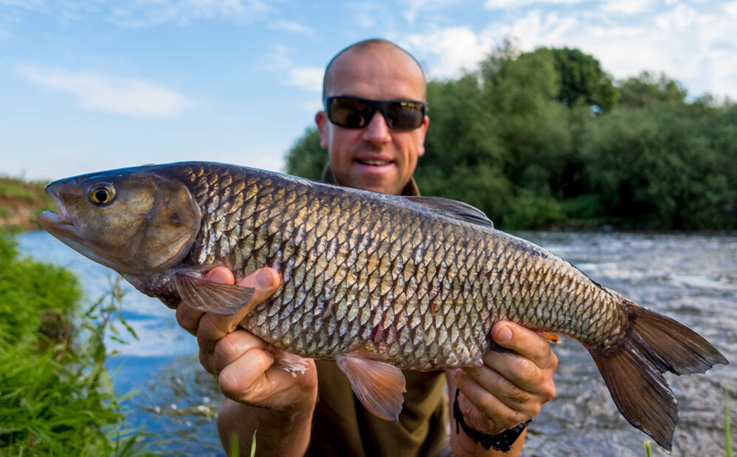 Andrew Knots – 7lb 4oz chub