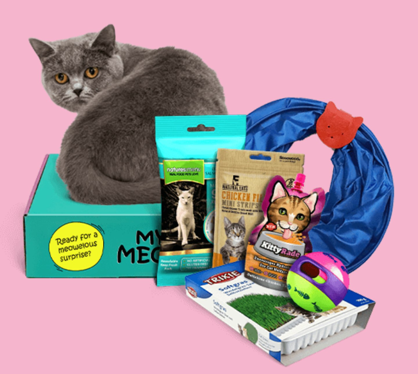 My meow cat subscription box