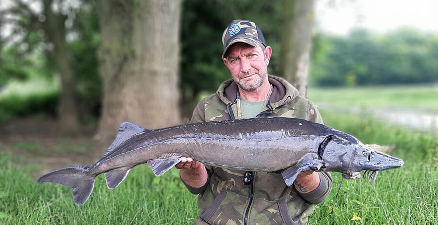 The 19lb 5oz Trent sturgeon 