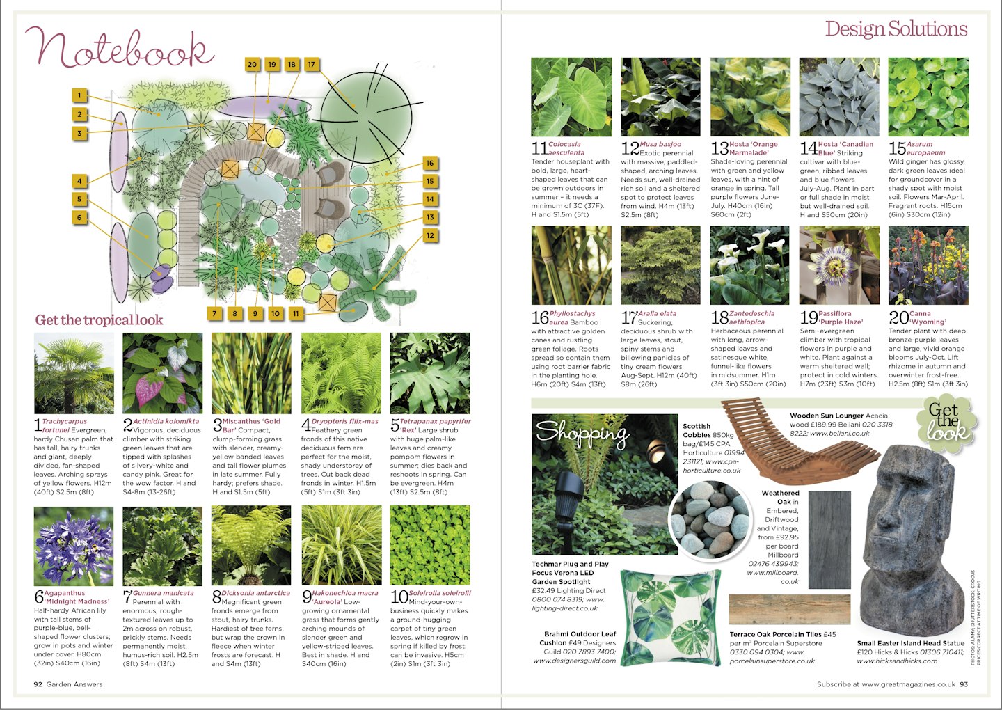 Planting plan and plant list for a tropical garden