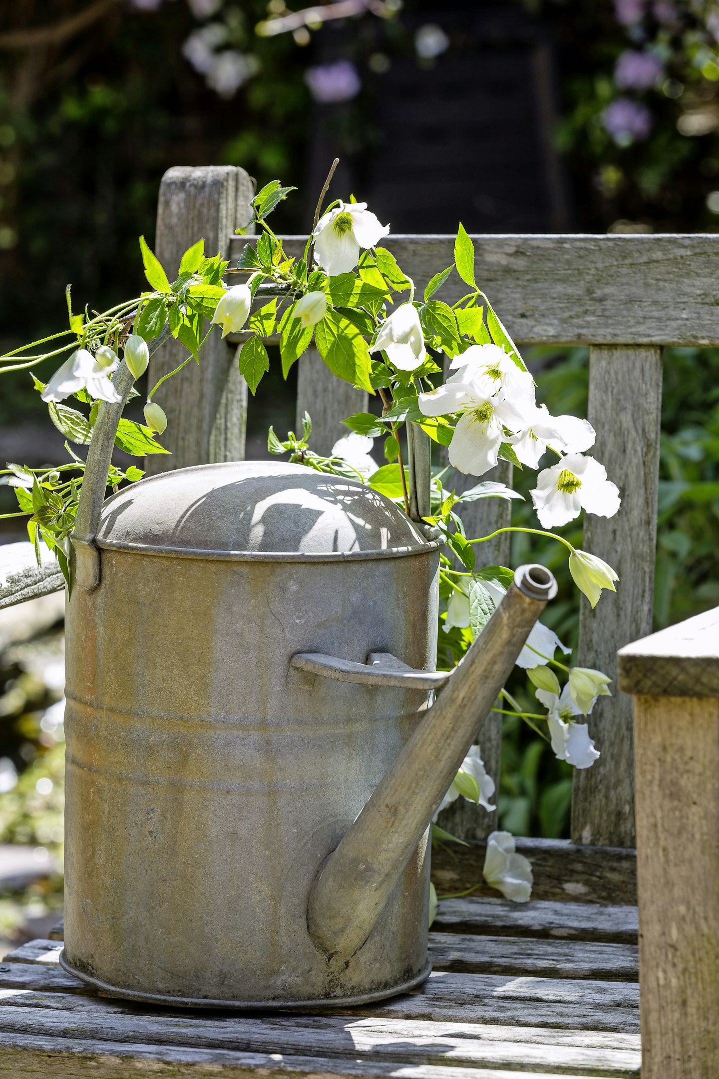 Watering Can inspiration