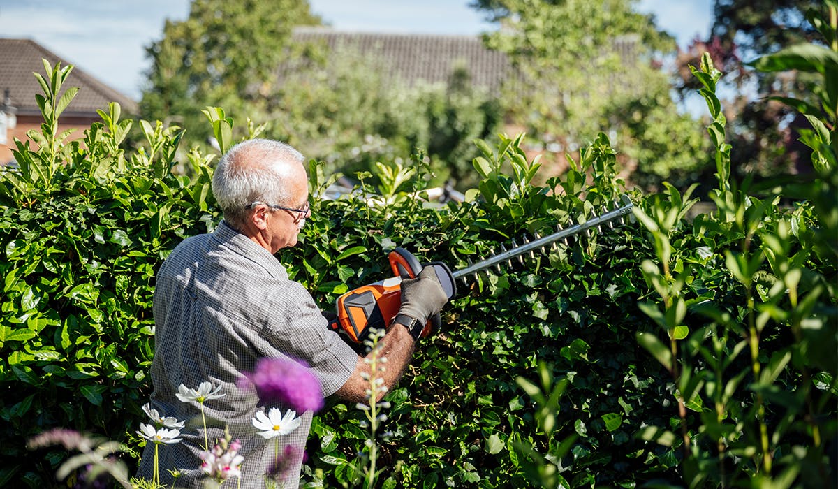 Professional Hedge Work