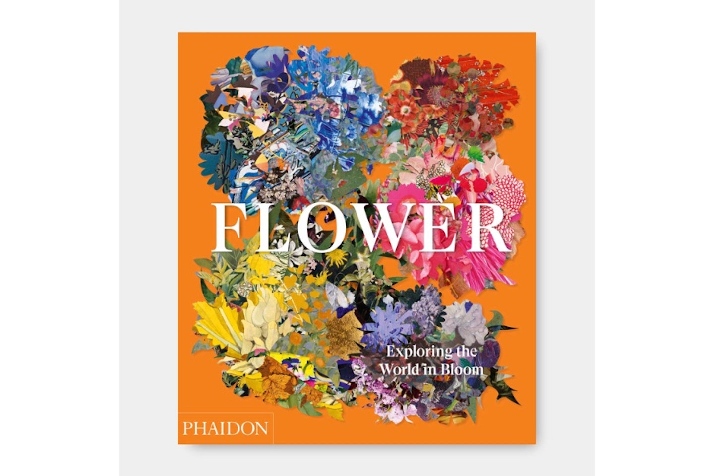 Flower: Exploring the World in Bloom Hardcover