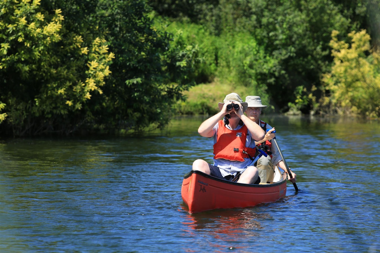 Canoe birding