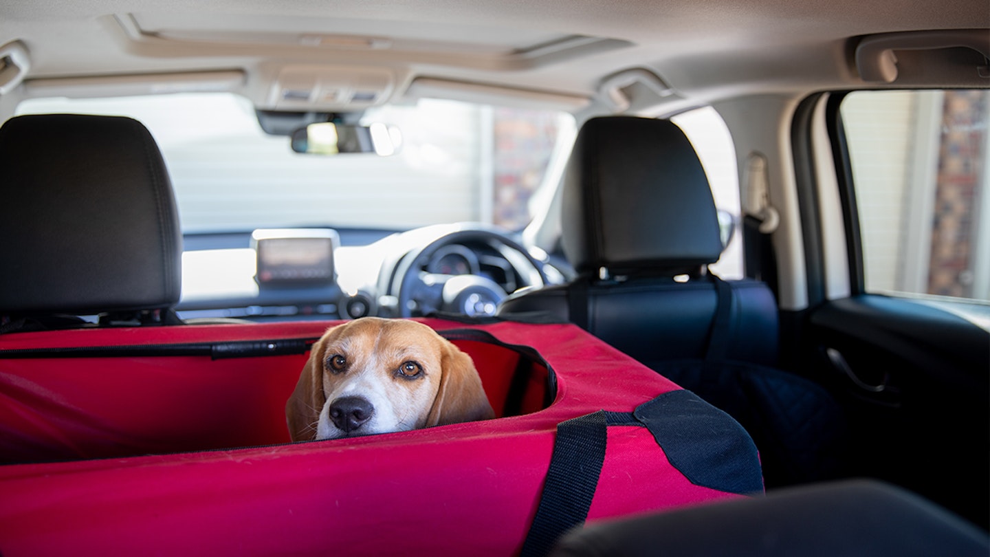 dog cages for car - fabric dog crate