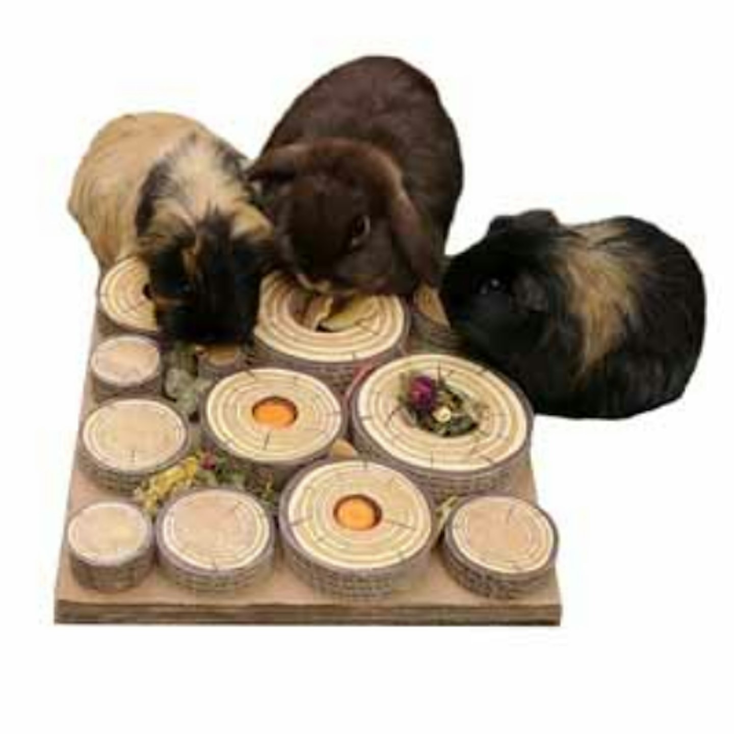 Rosewood Boredom Breaker Maze-A-Log-Treat Challenge for Small Animals