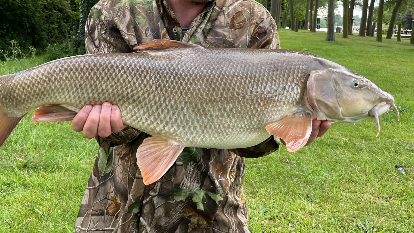 Barbel session of a lifetime with 13 doubles banked