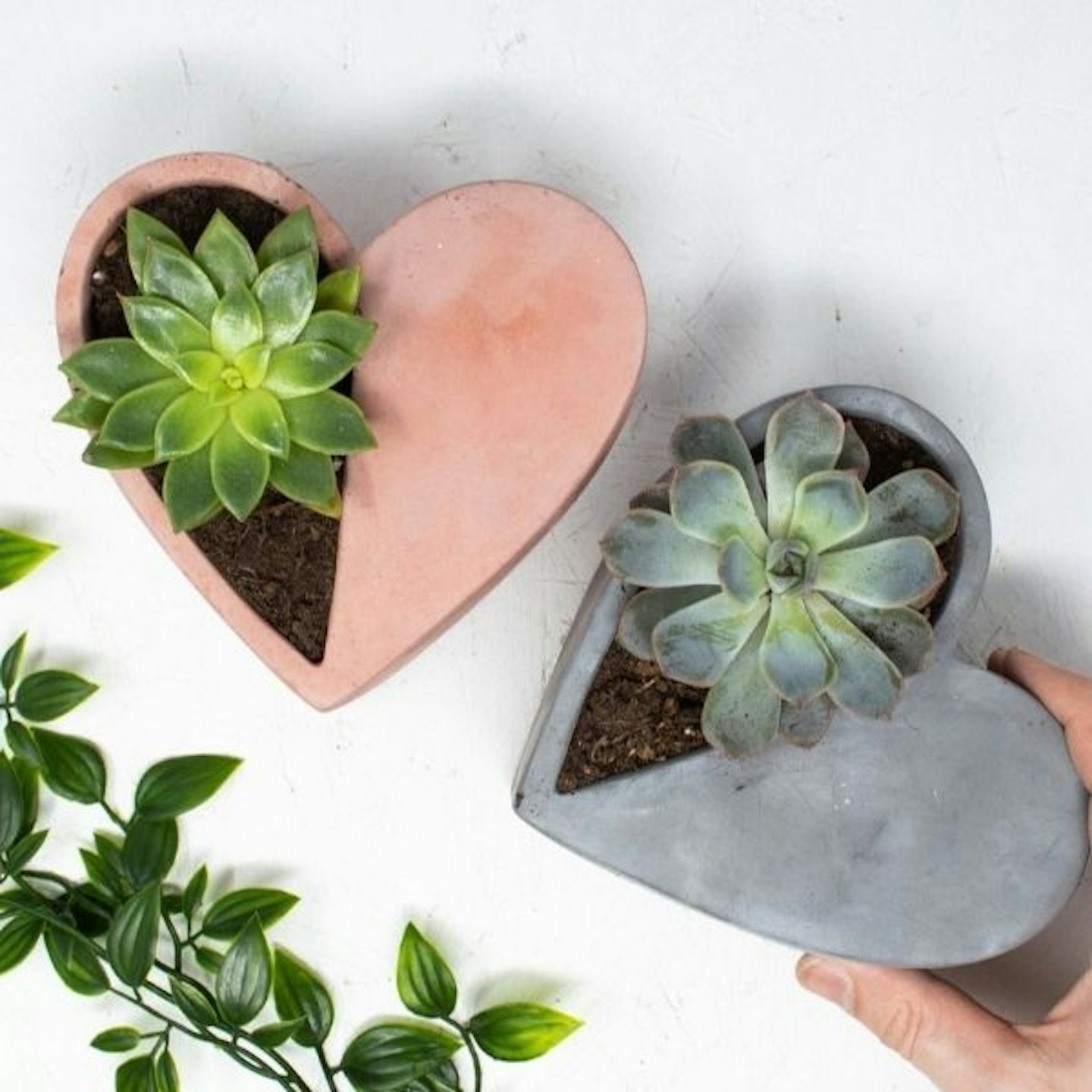 Heart Shaped Plant Pot